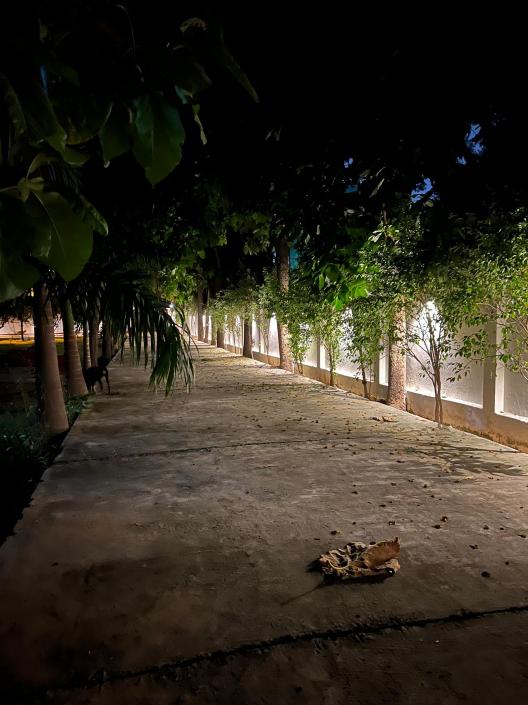 Chitragarh Farm