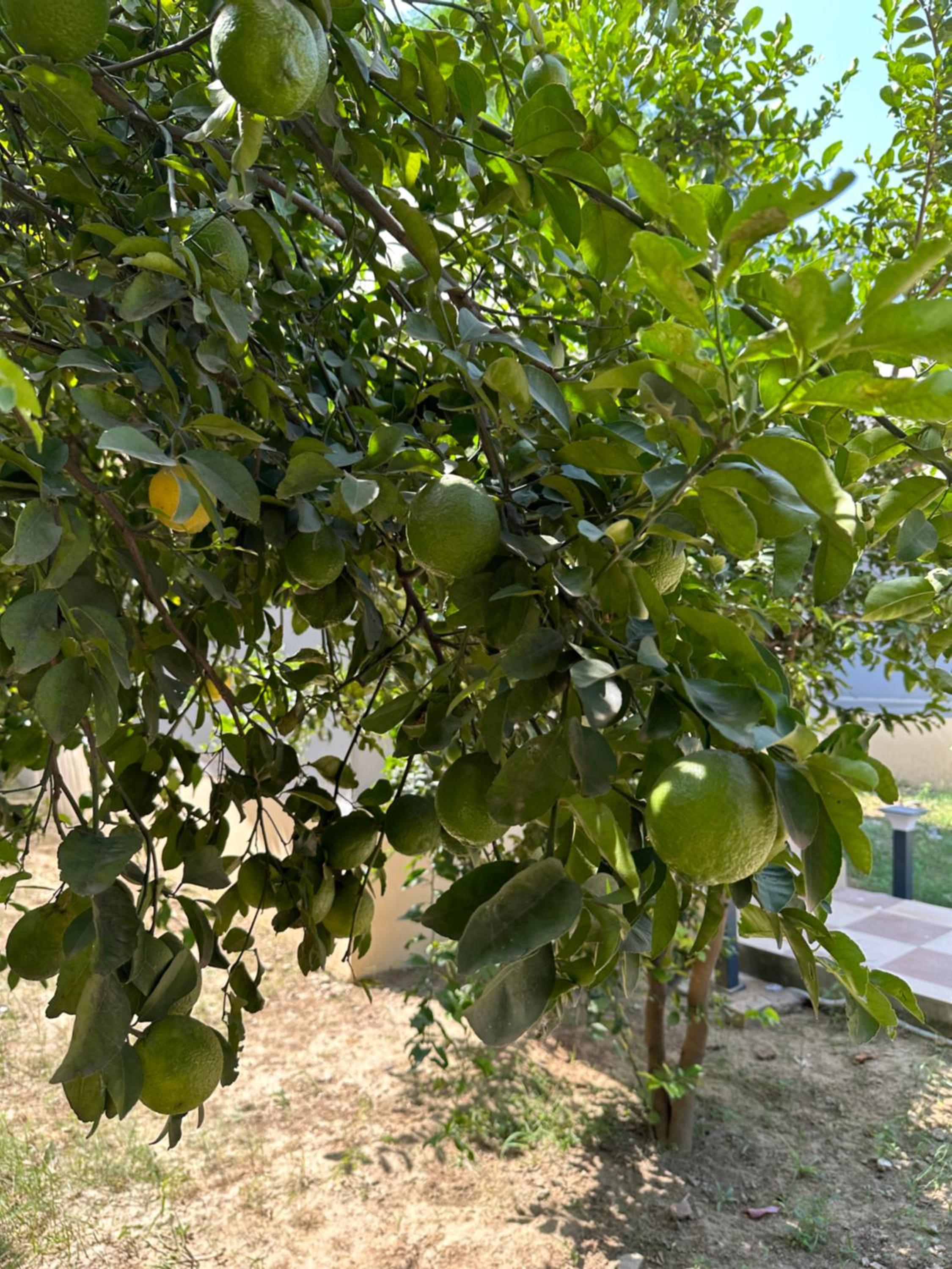 Chitragarh Farm