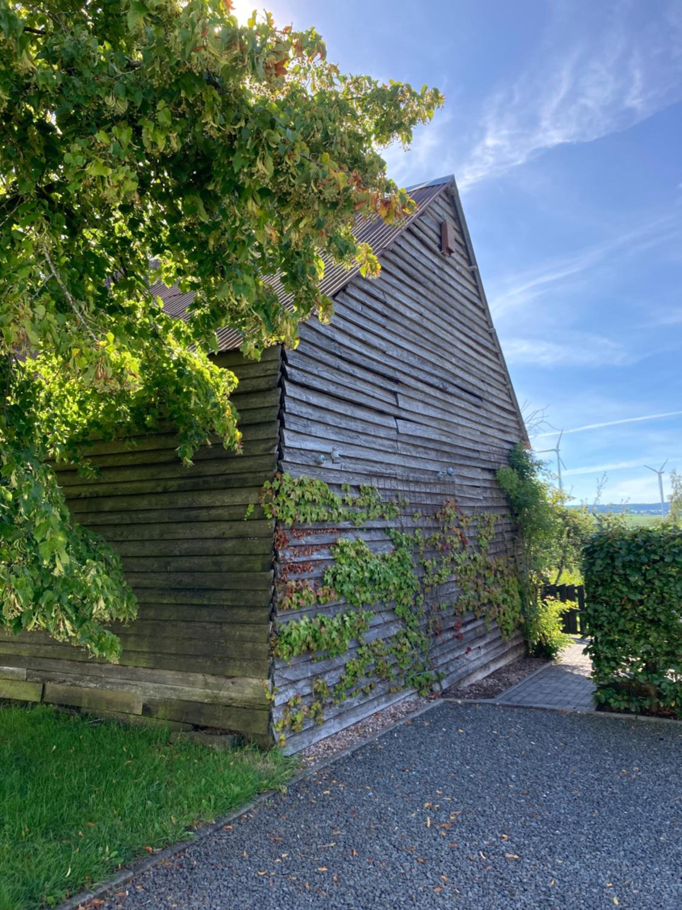 Photo 29