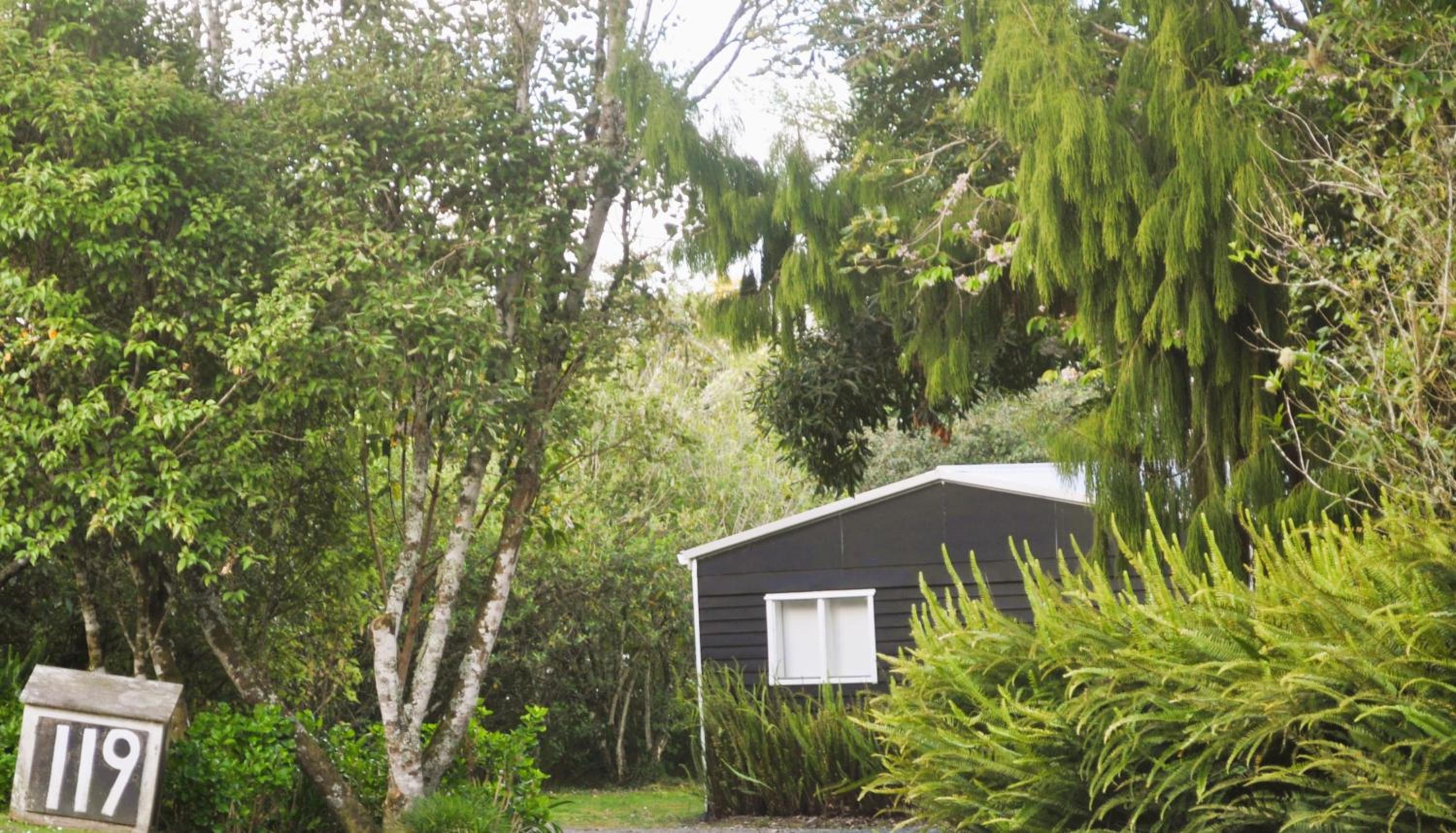Lakeside Cottage with Jetty at Lake Tarawera view 4