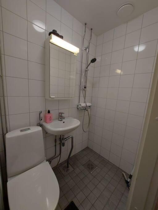 Kotimaailma - Viihtyisä studio lähellä Helsingin keskustaa