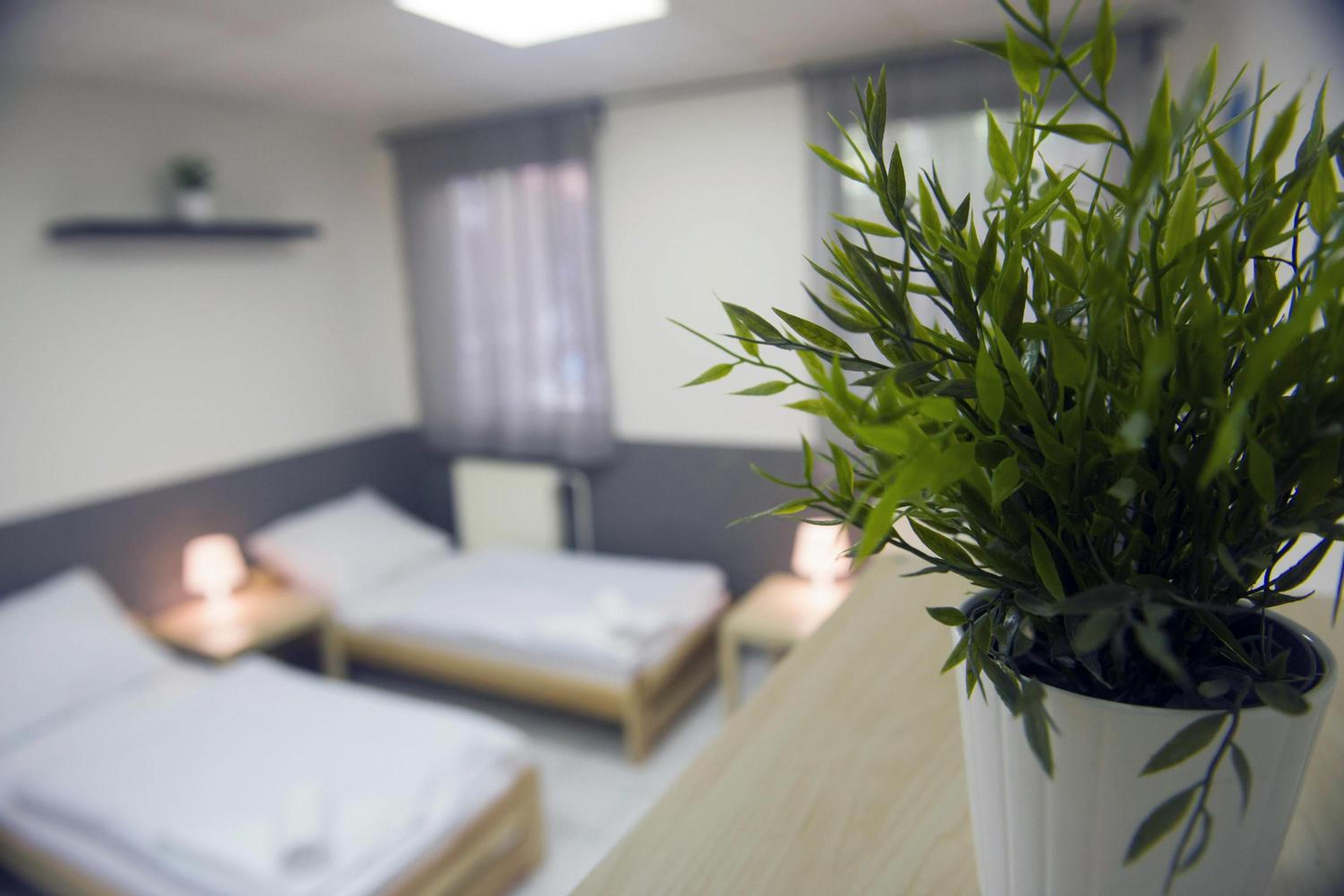 Hostel Seven