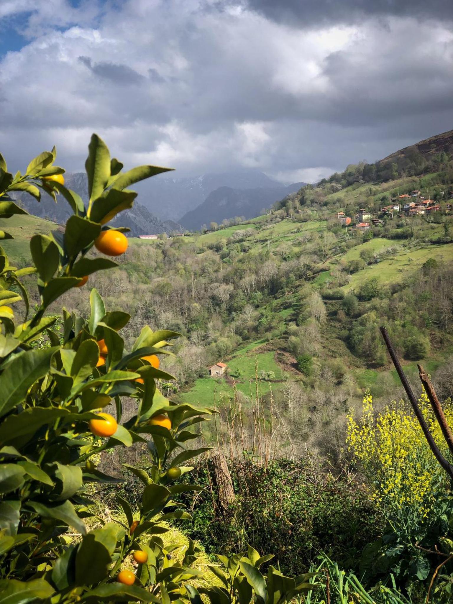 El Refugio del Busgosu