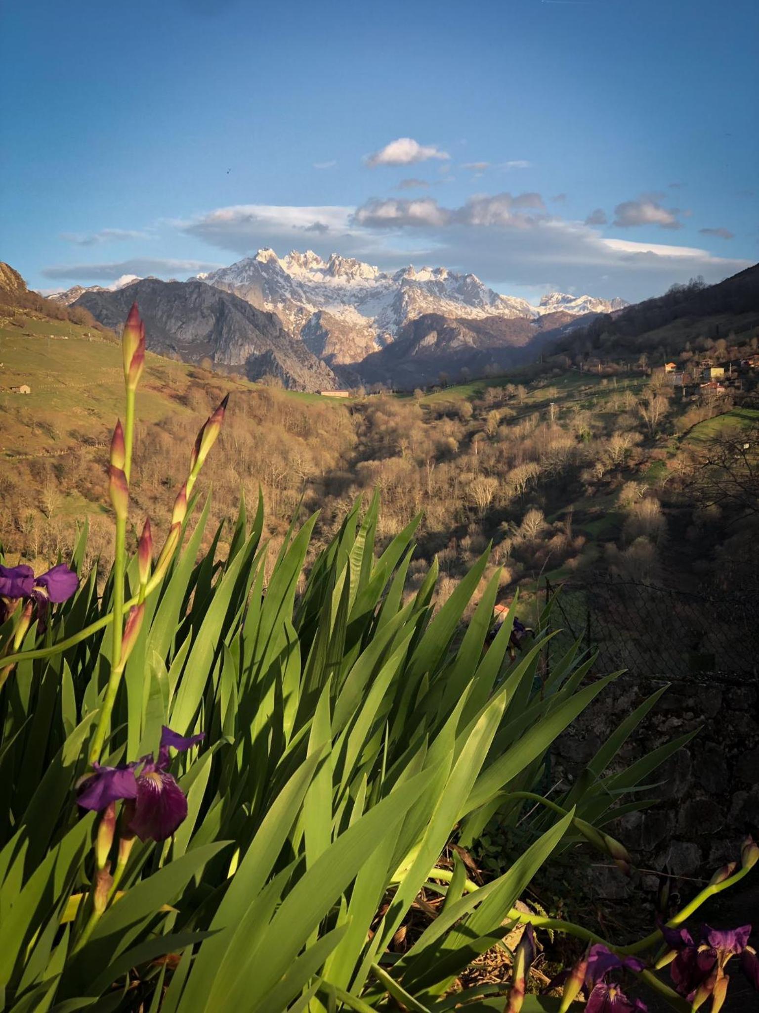 El Refugio del Busgosu