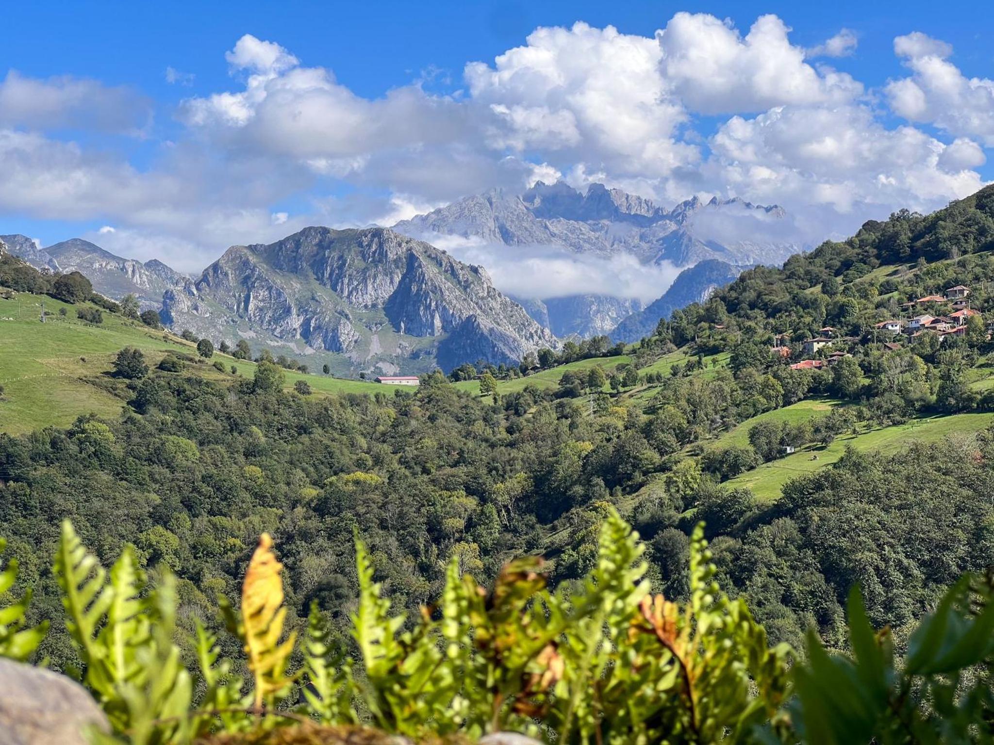 El Refugio del Busgosu