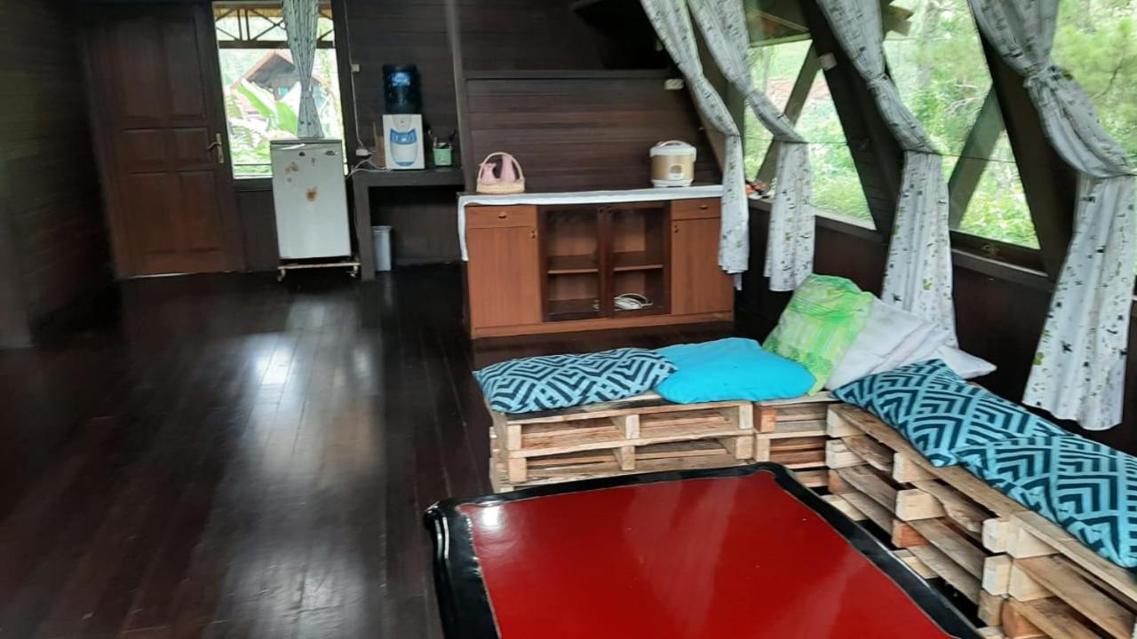 Photo 46