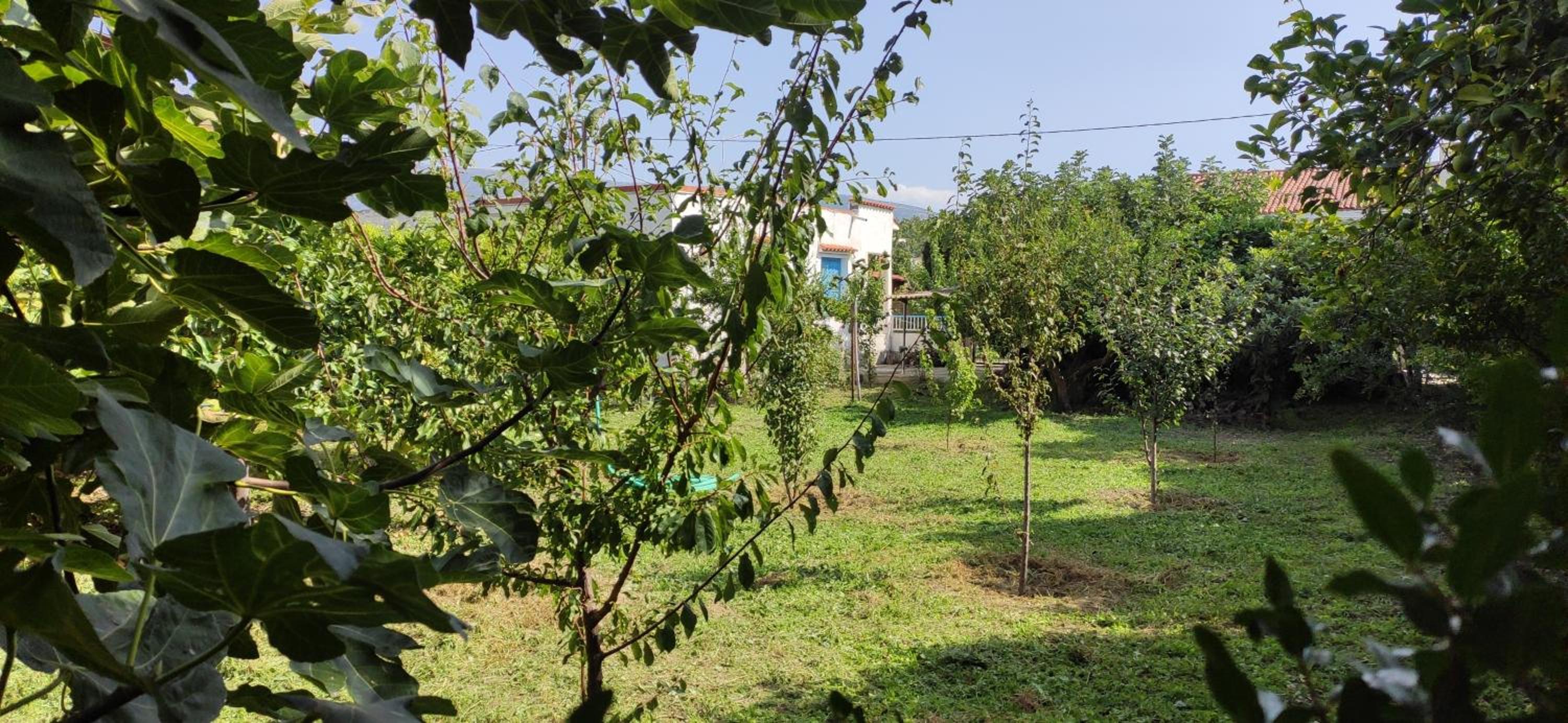 Garden house