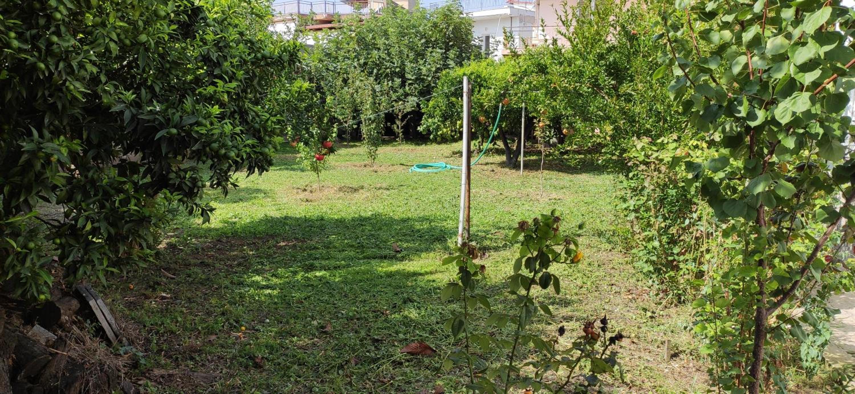 Garden house