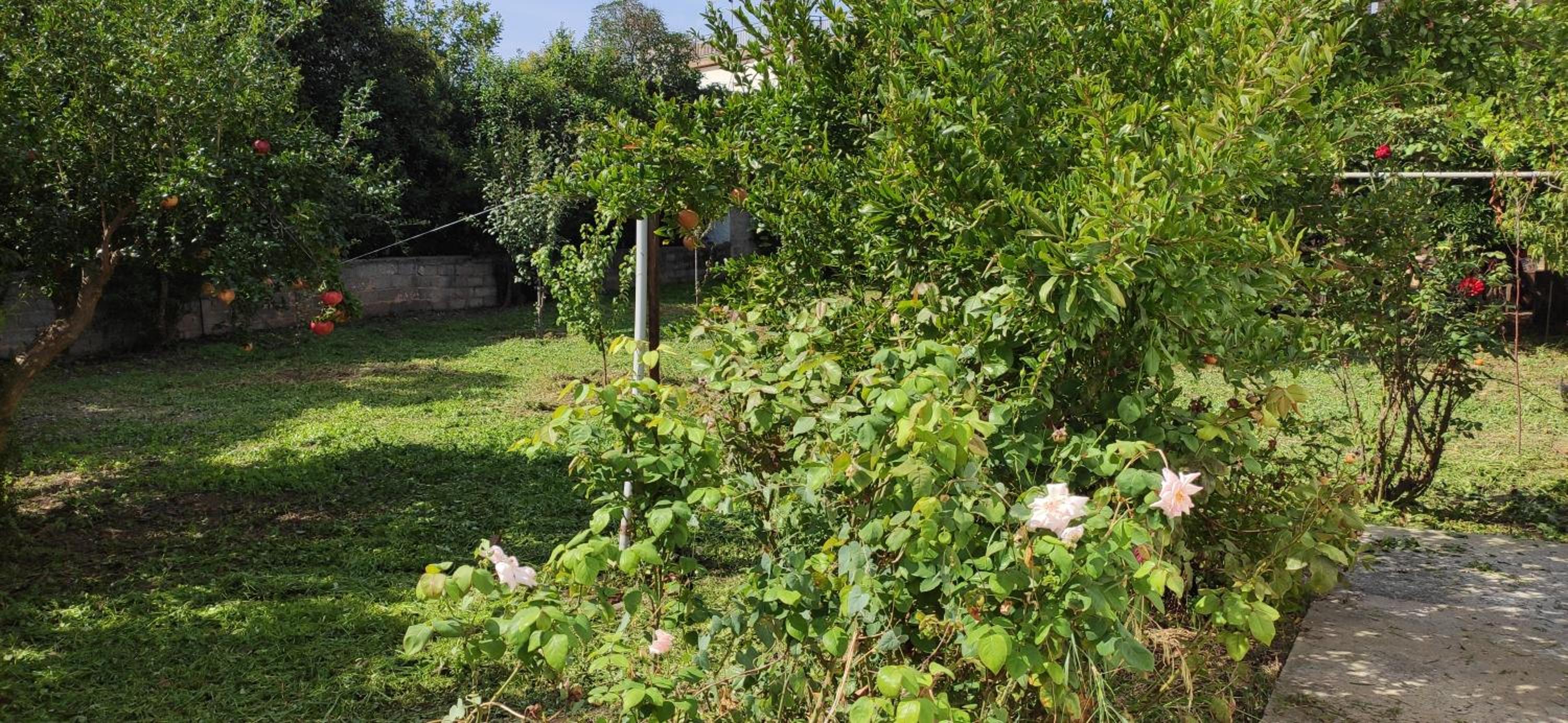 Garden house