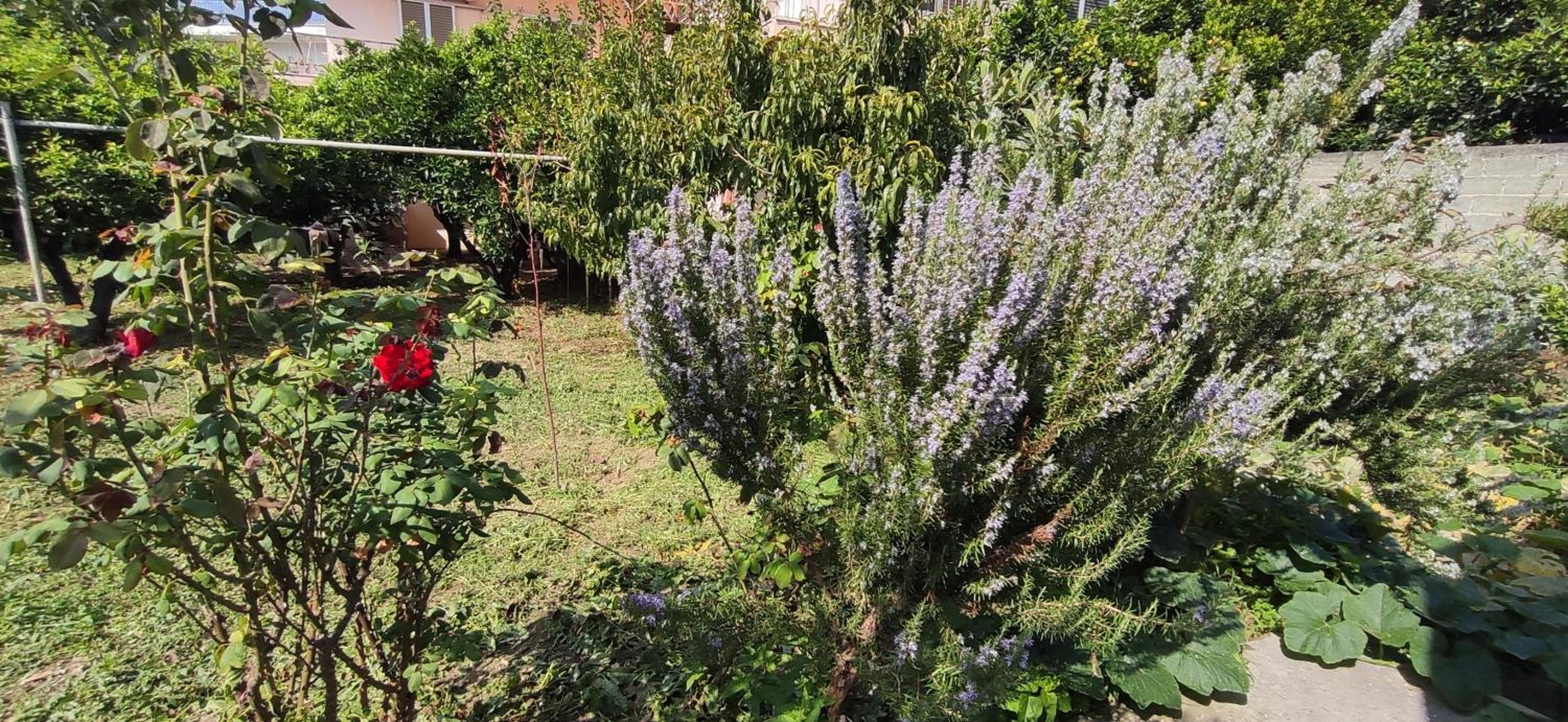 Garden house