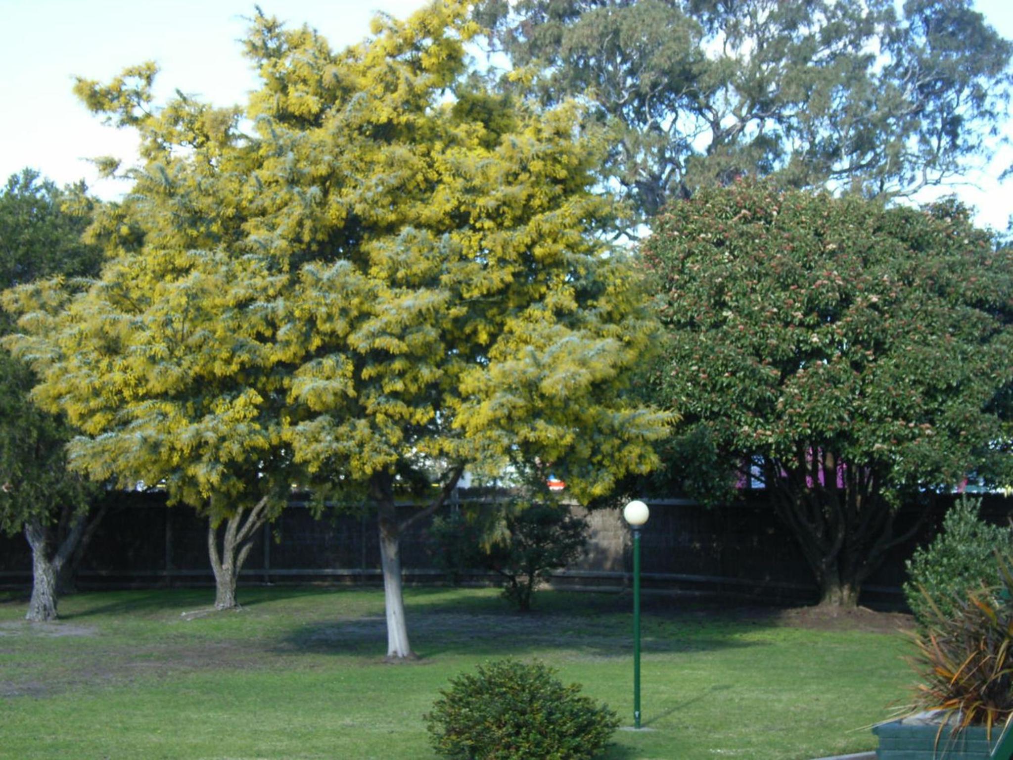 Bairnsdale Main Motel