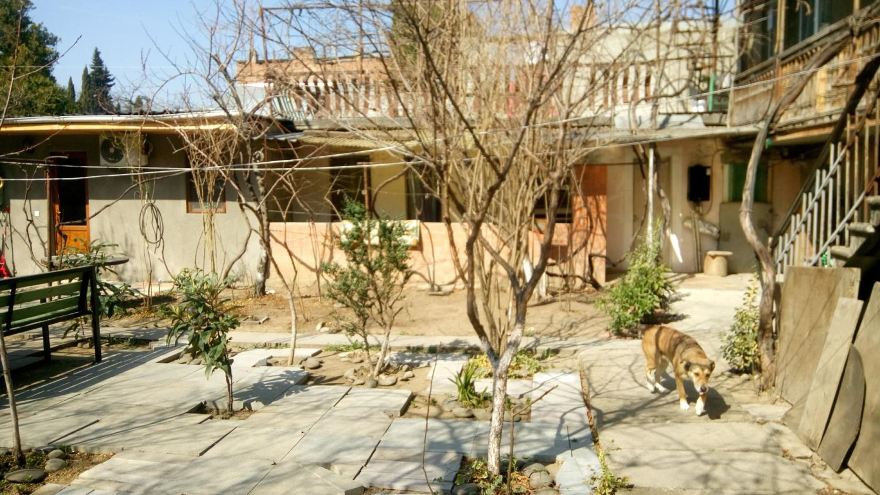 Photo 20