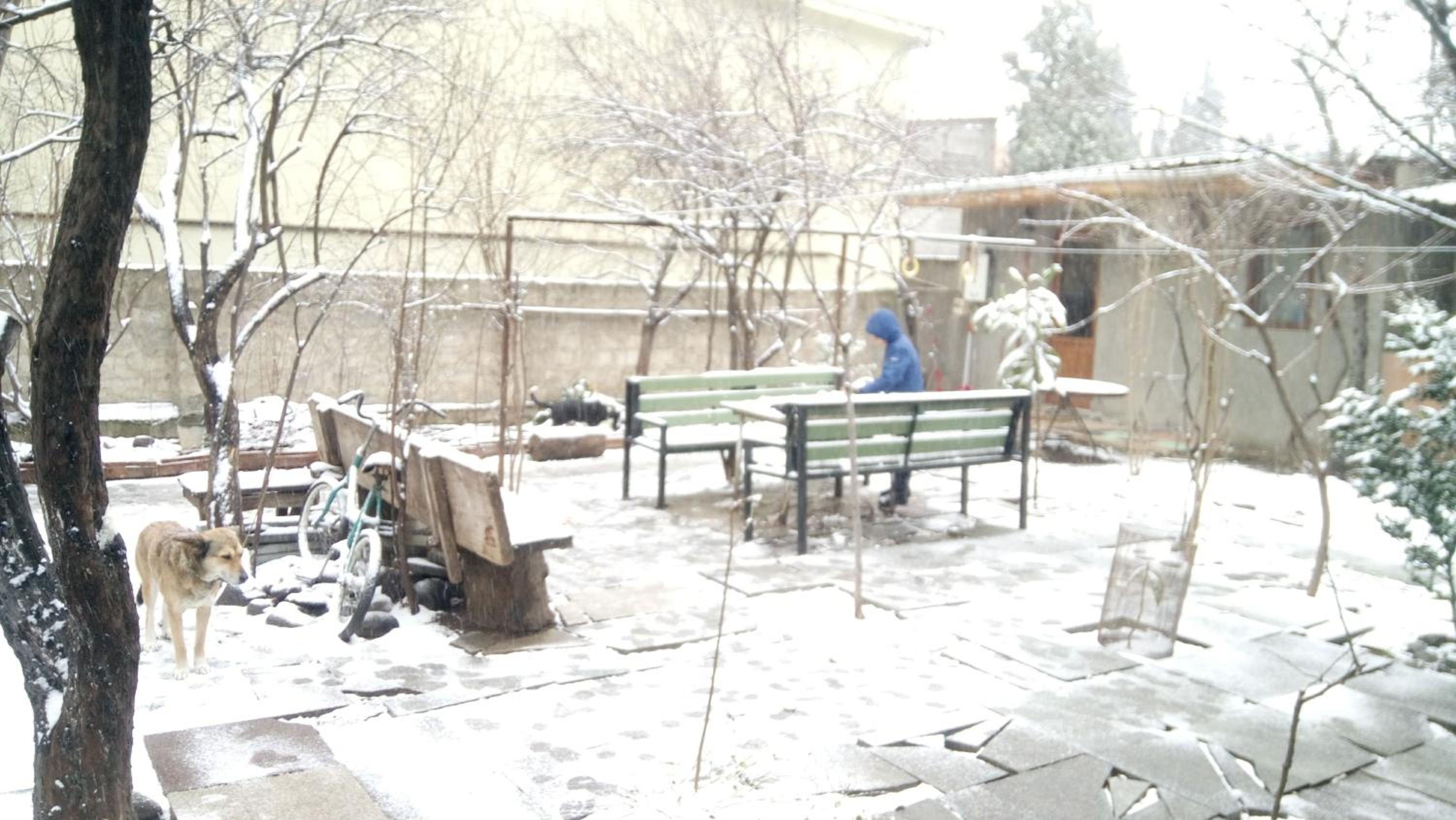 Photo 19