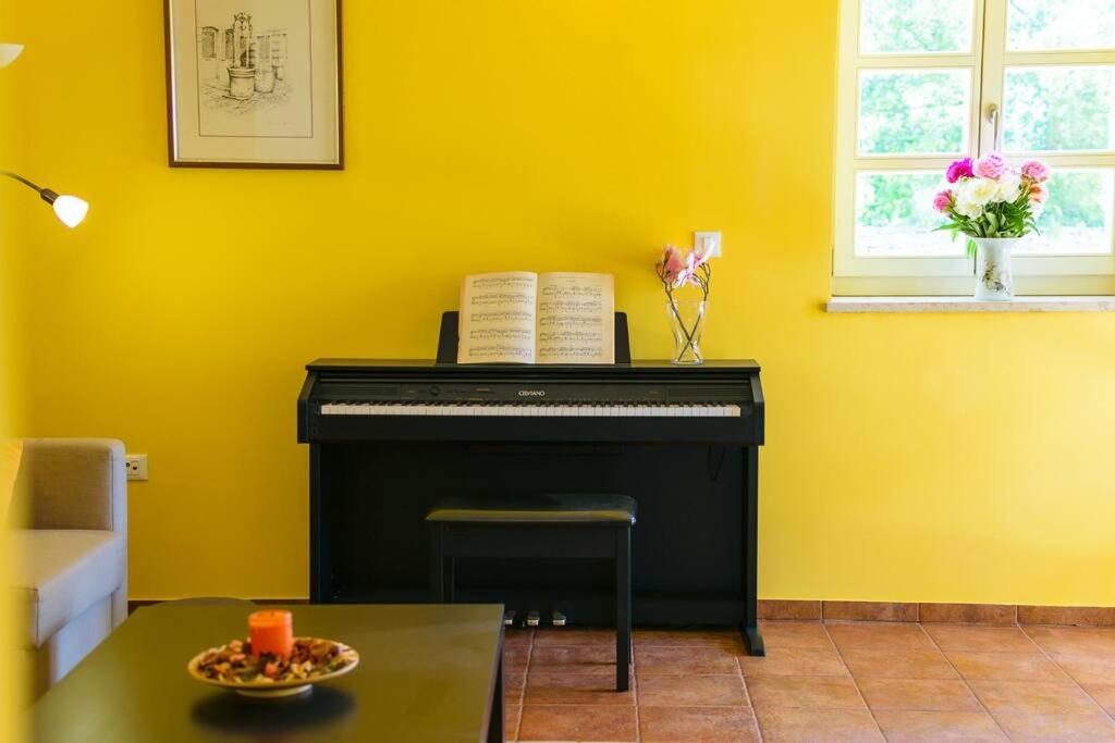 Photo 41