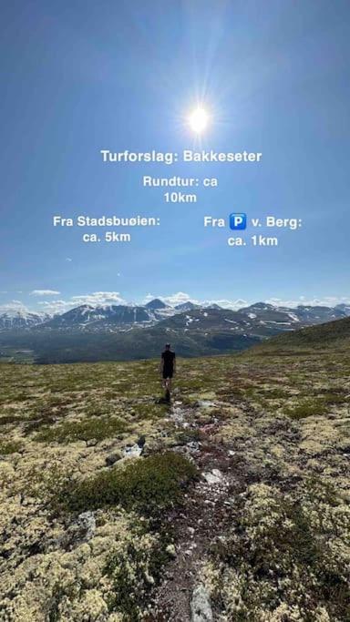 Atndalsvegen 1295 - panoramautsikt til Rondane view 2