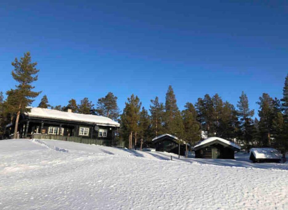 Atndalsvegen 1295 - panoramautsikt til Rondane view 4