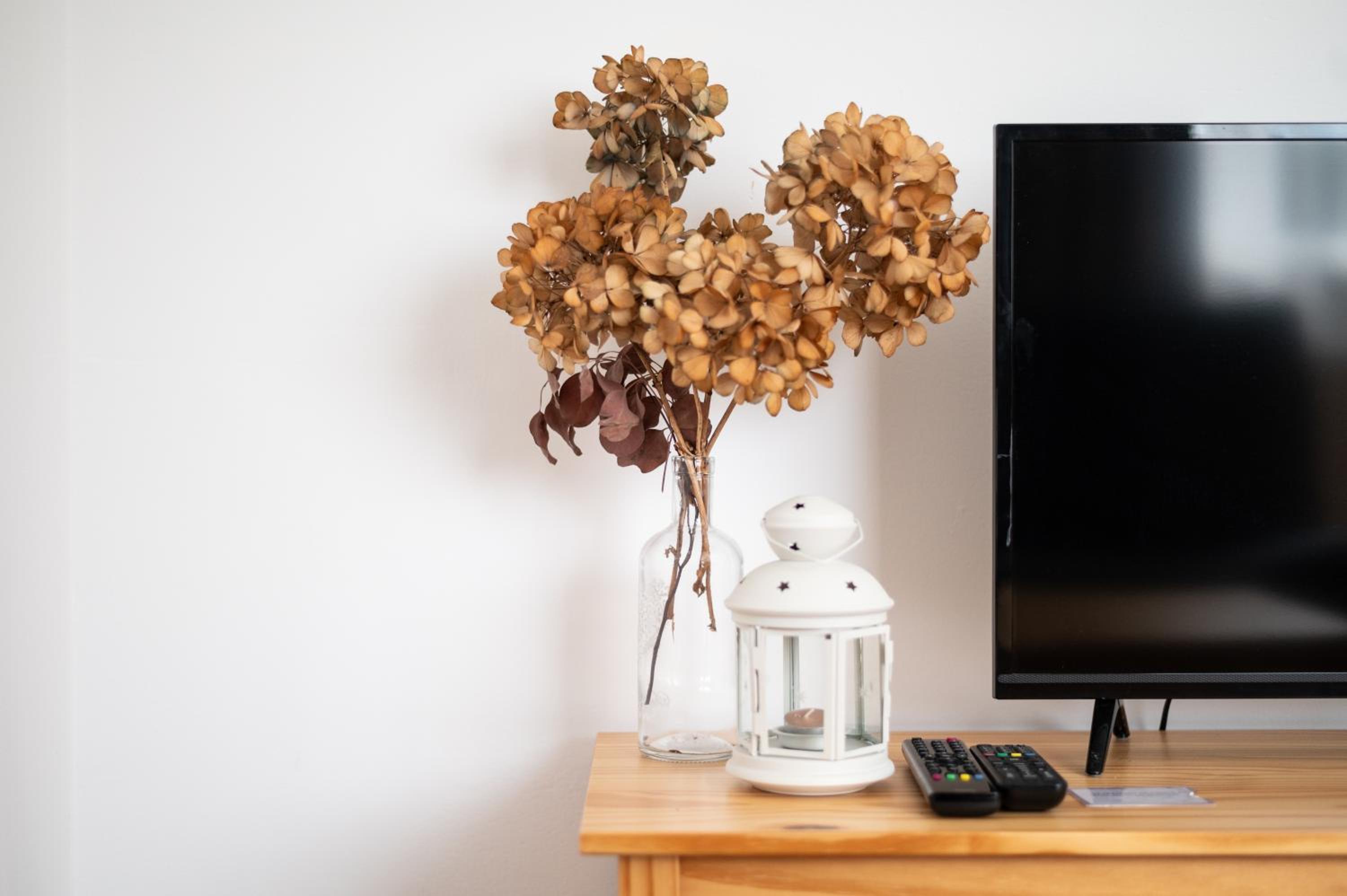 Apartmány Olešnice