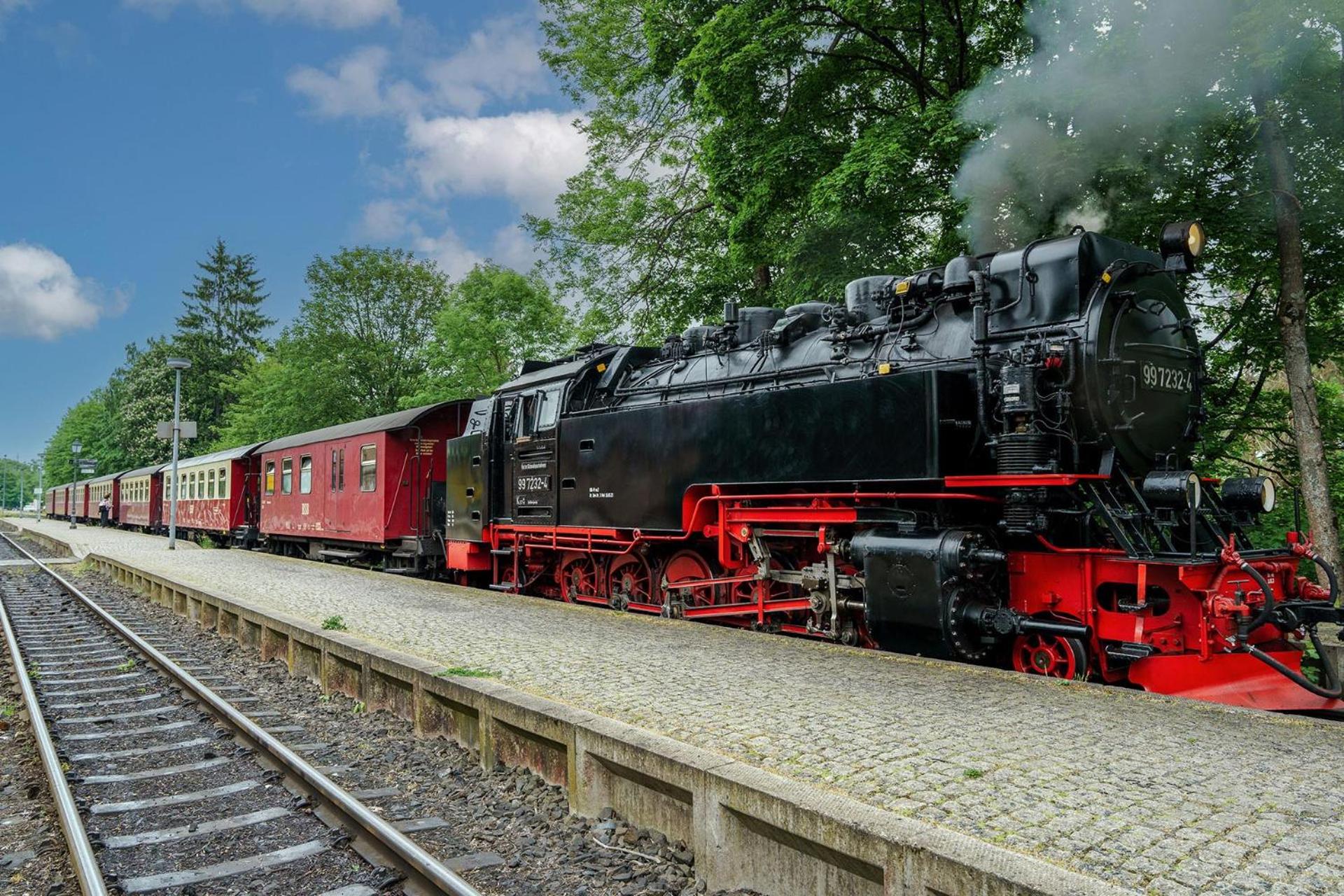 Pension Zum Hexenstieg view 5