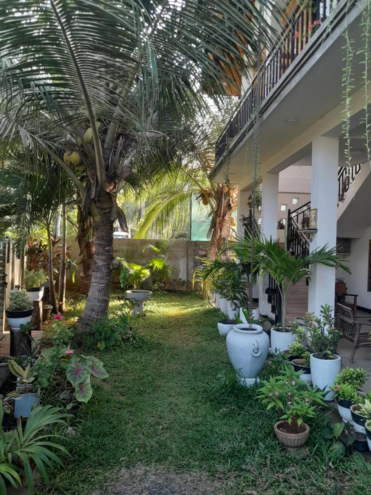 Rose Fort Homestay view 2