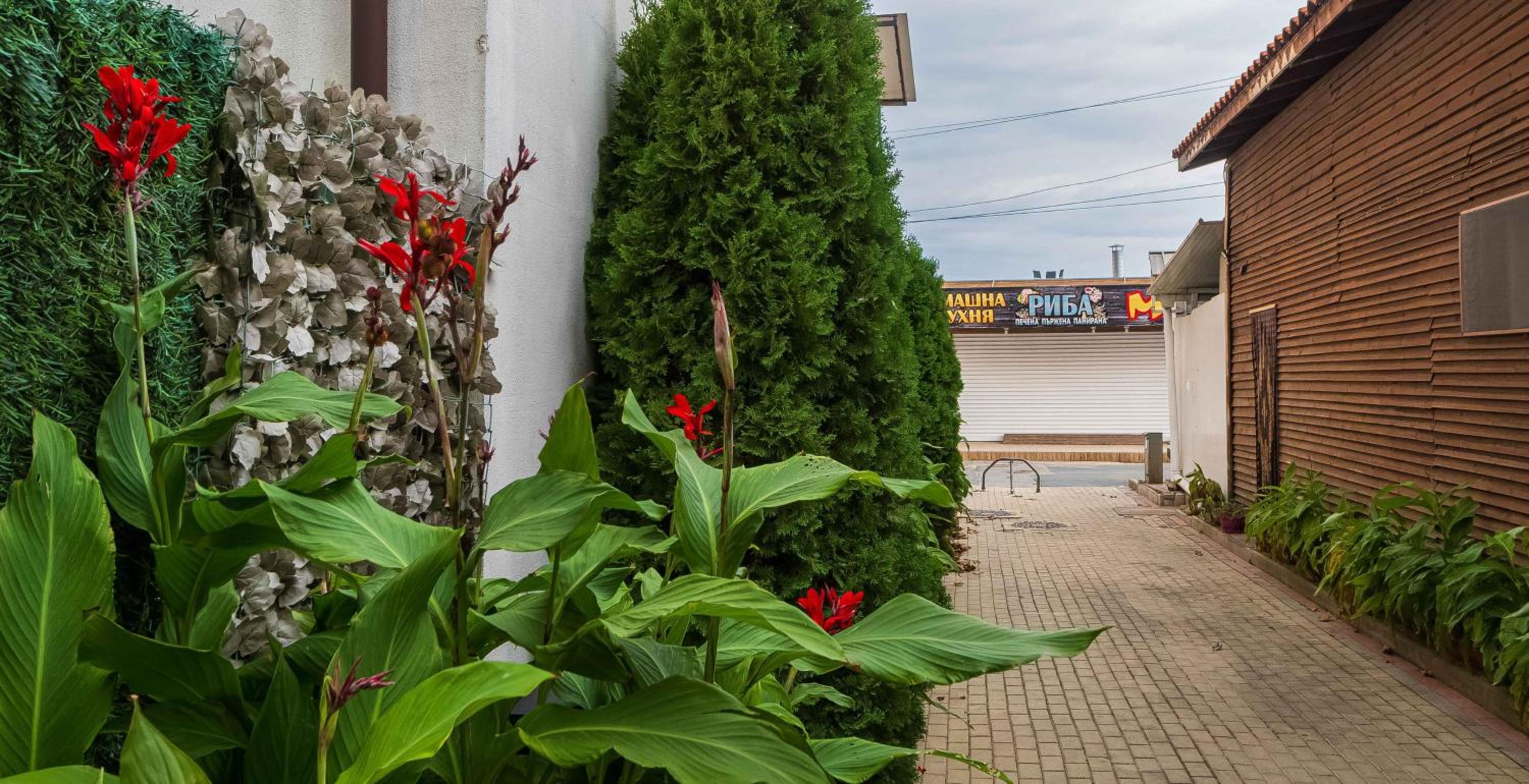 Sozopol Lifestyle А10