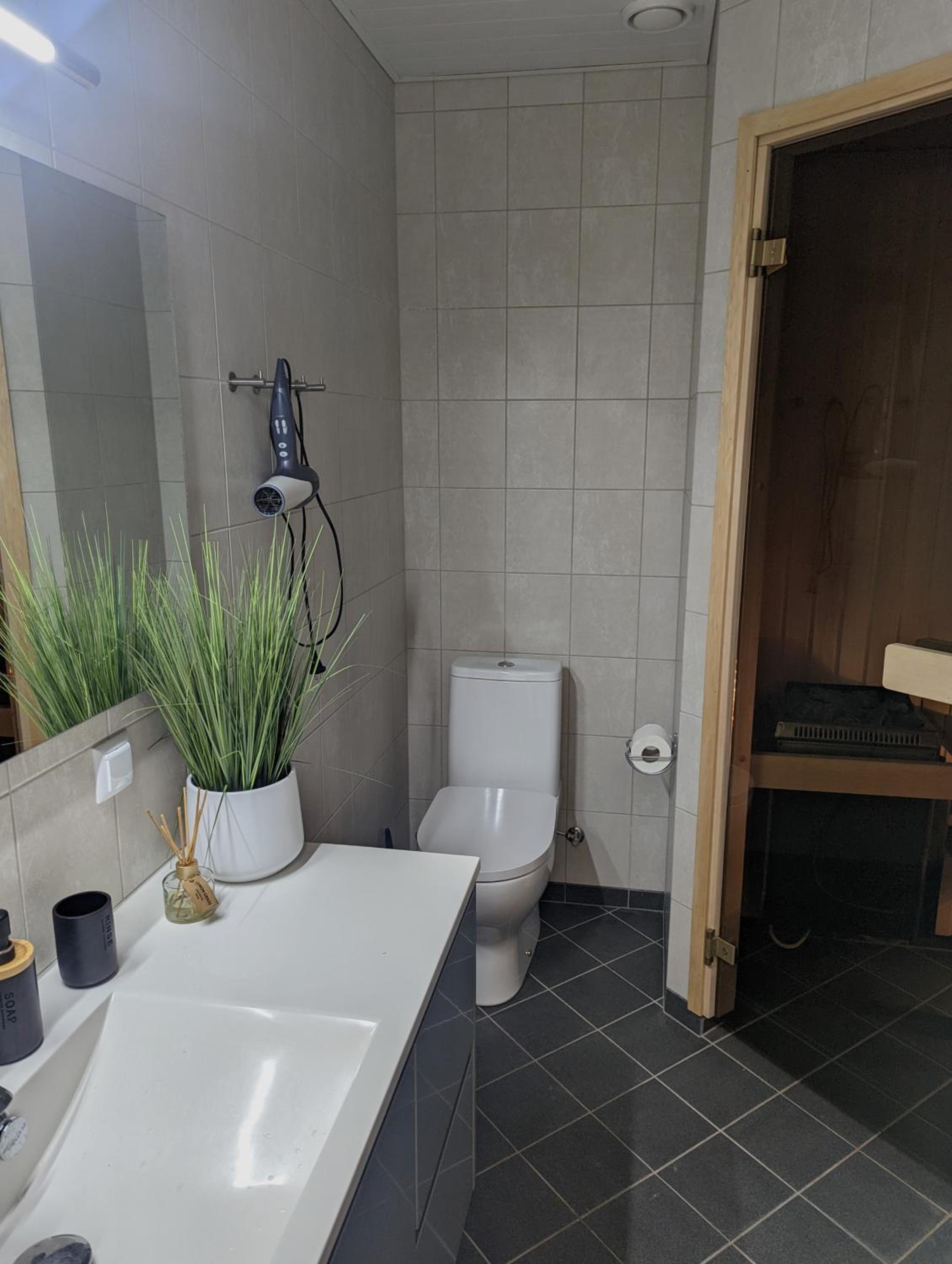 Studio Apartment with Sauna