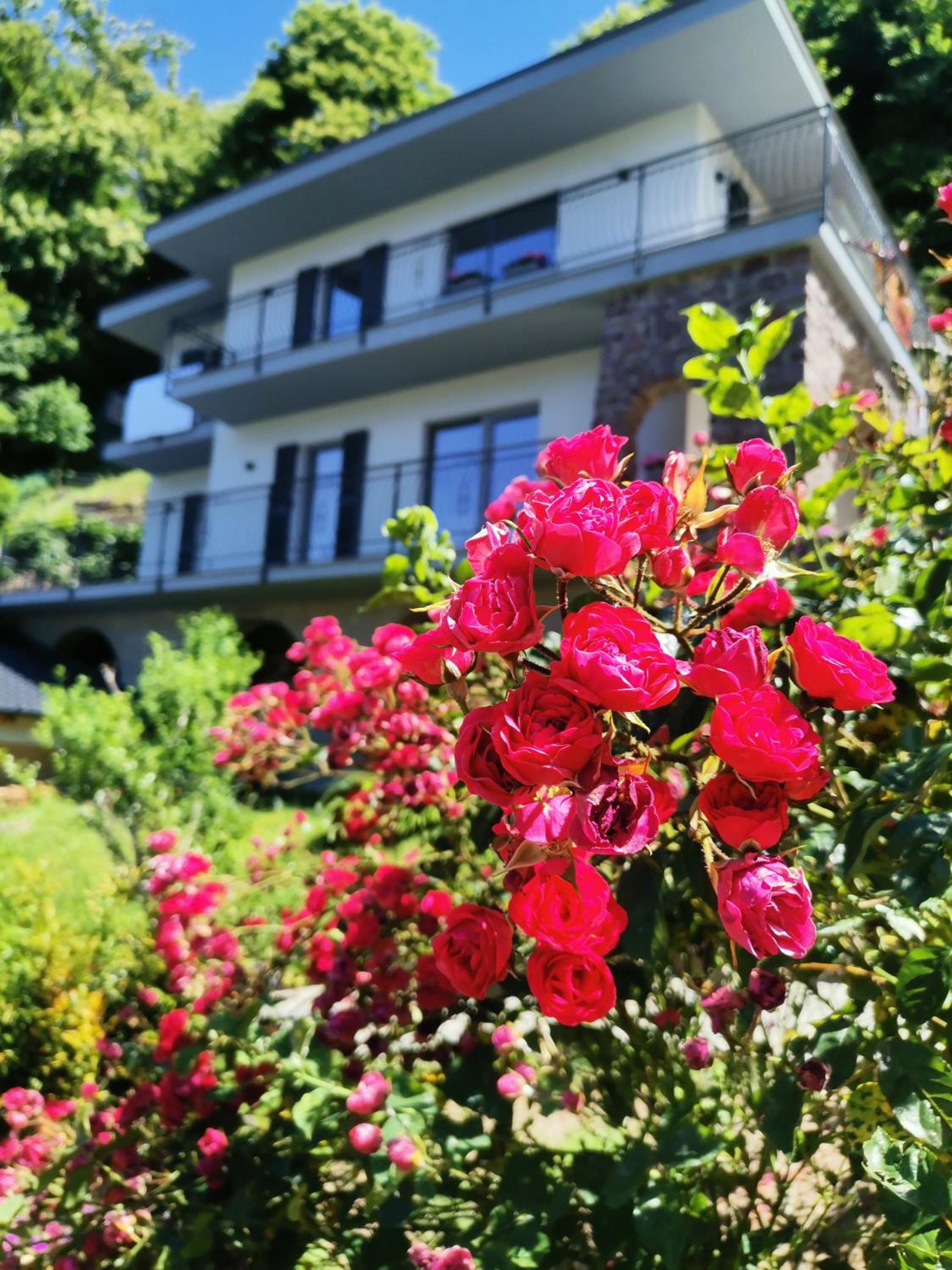 Villa Sofi