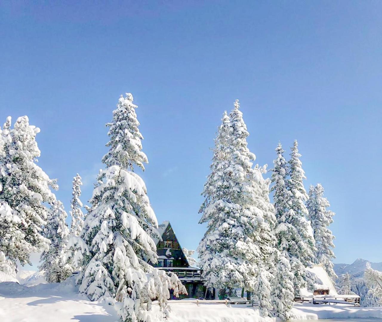 Chalet Cermis