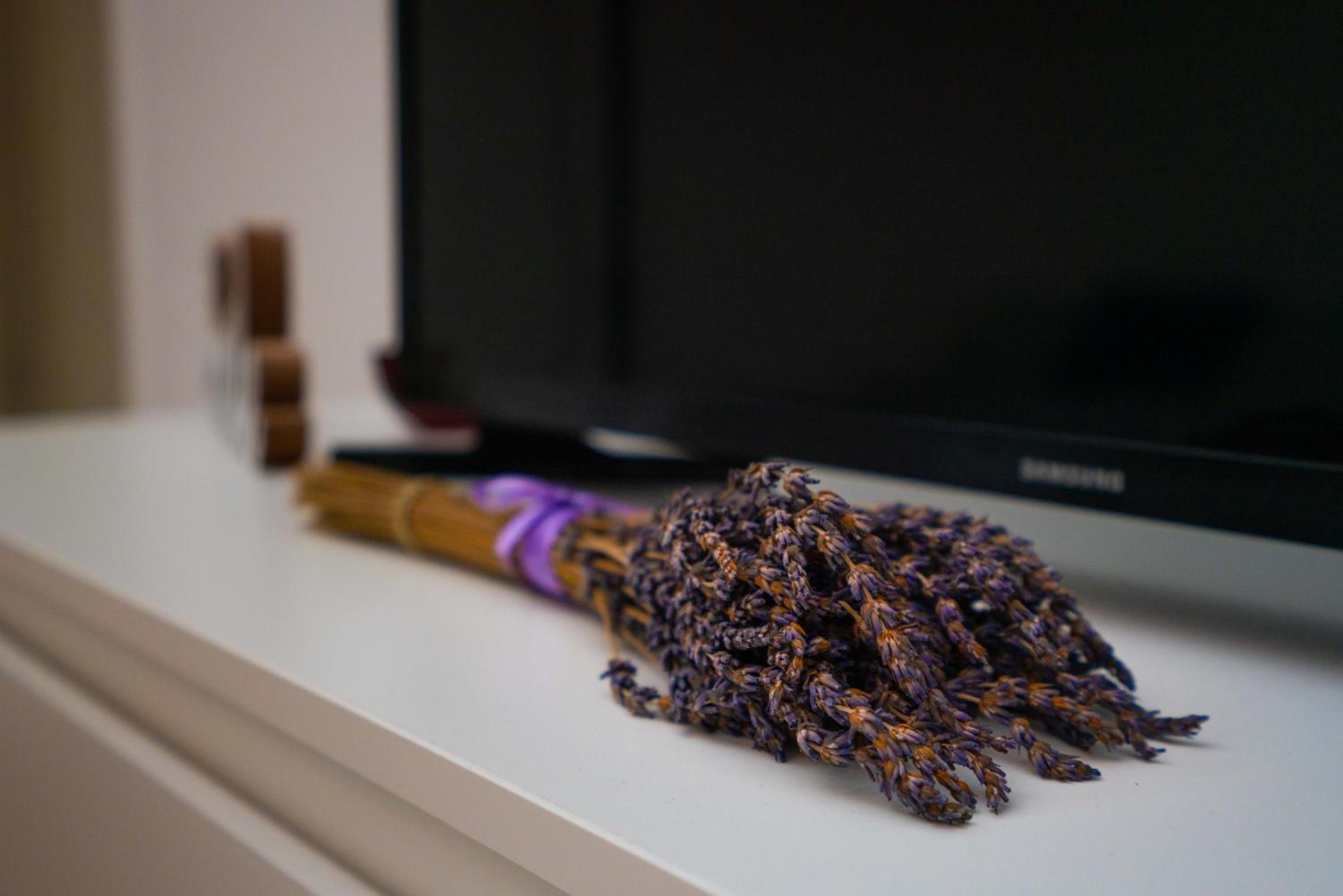 Lavender Apartment