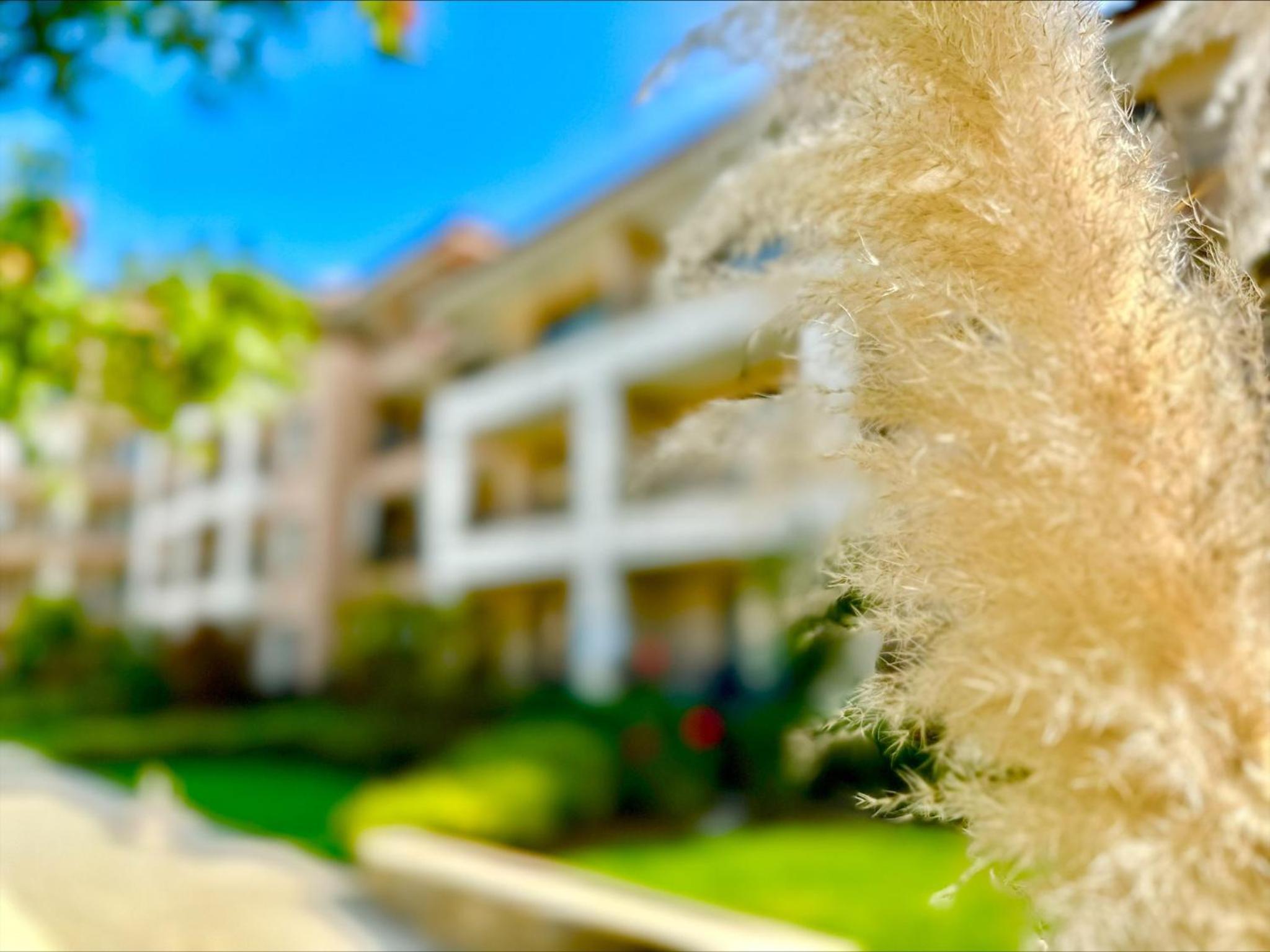 Sea Dreams - Menada Apartments