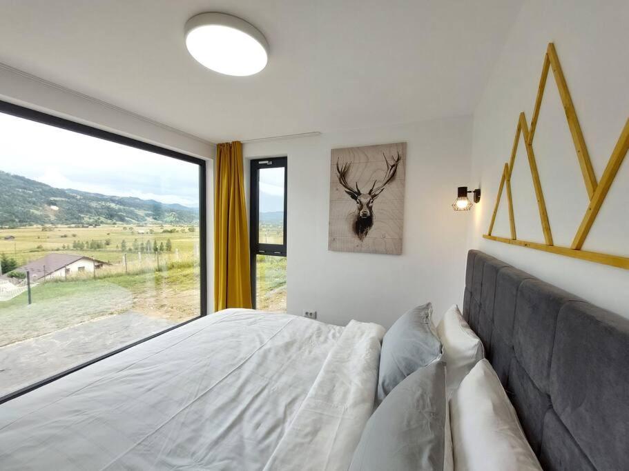 Cozy Cube - tiny house