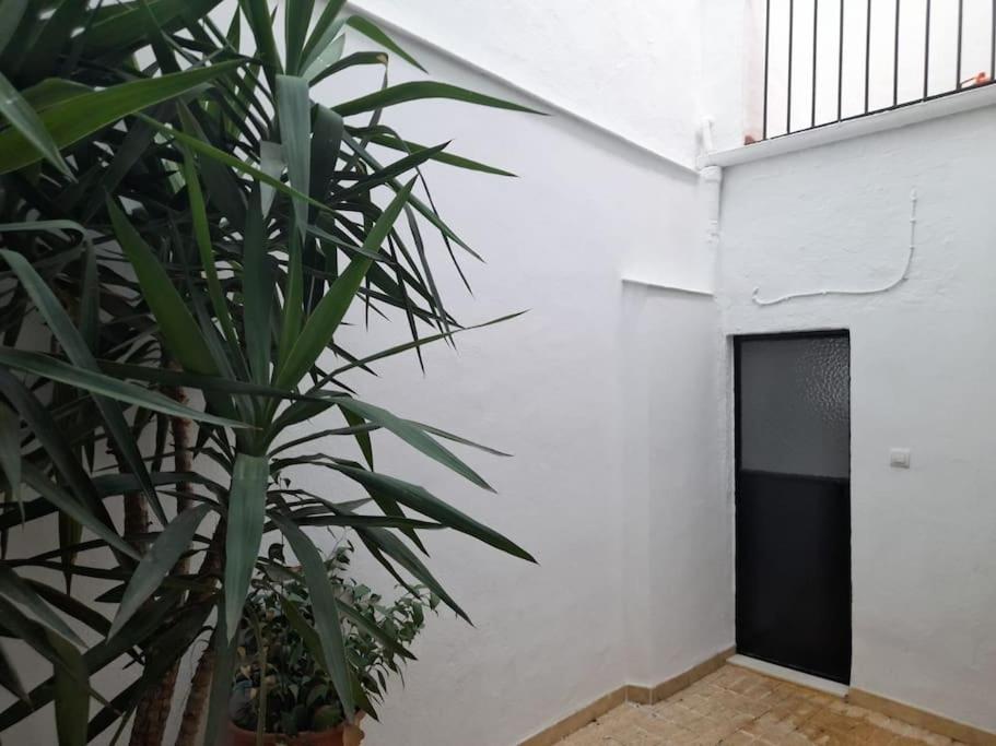 Casa Mis Abuelos
