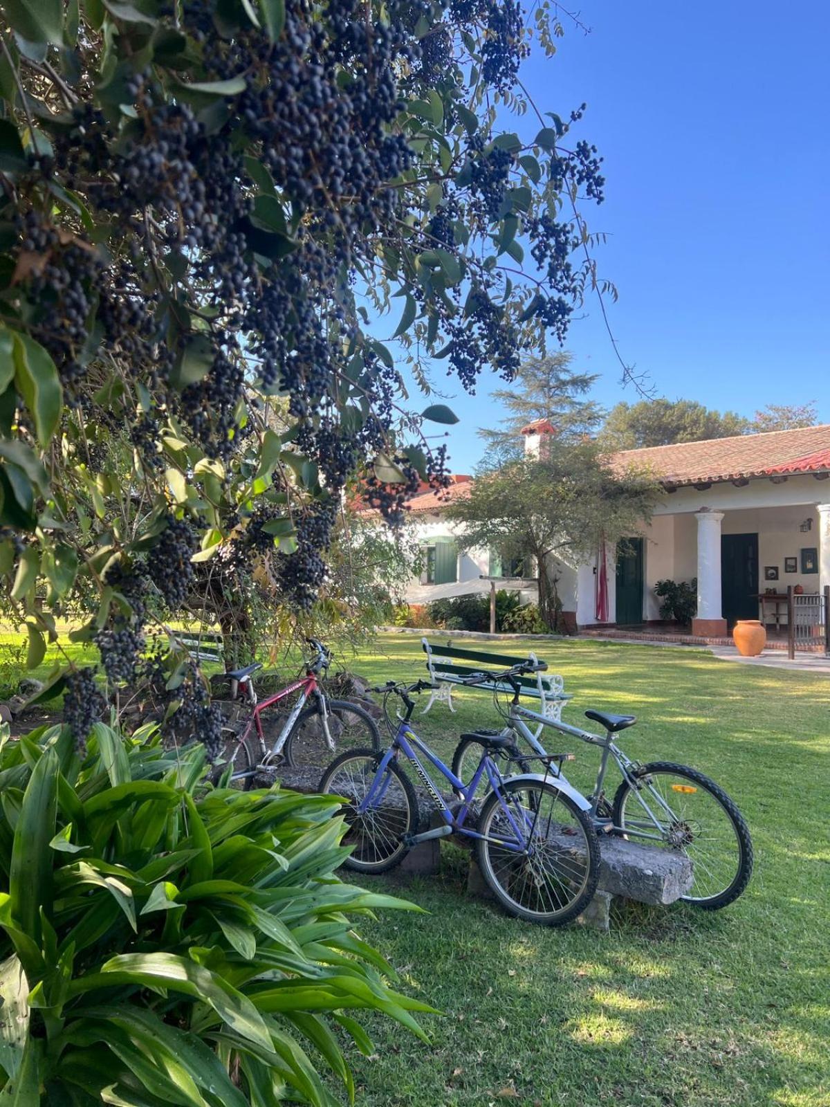 Finca La Secundina