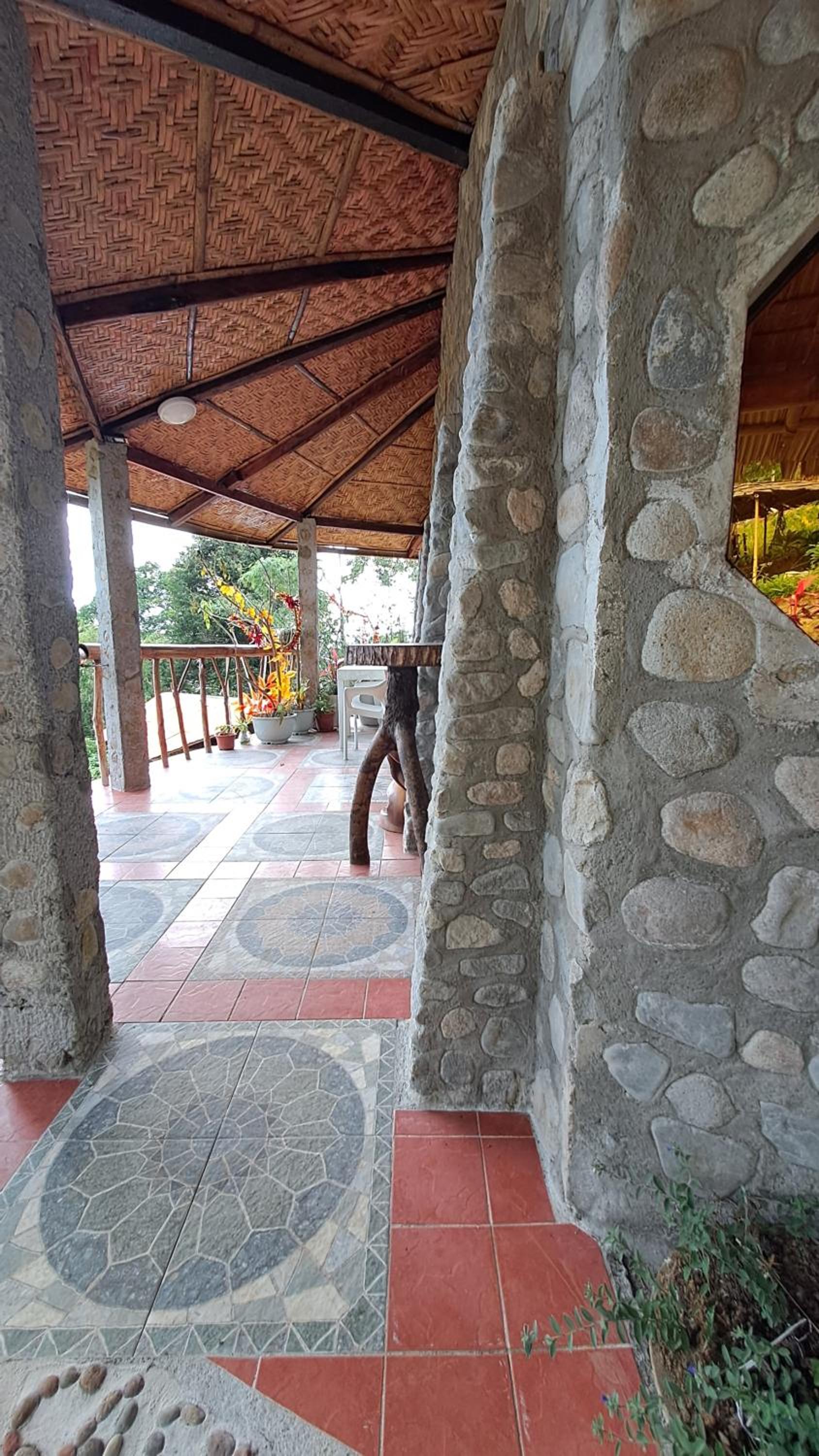 Photo 50