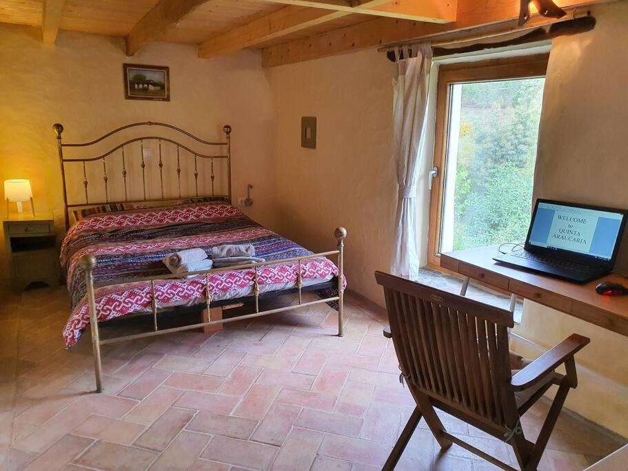Cosy Clayhouse Quinta Carapeto