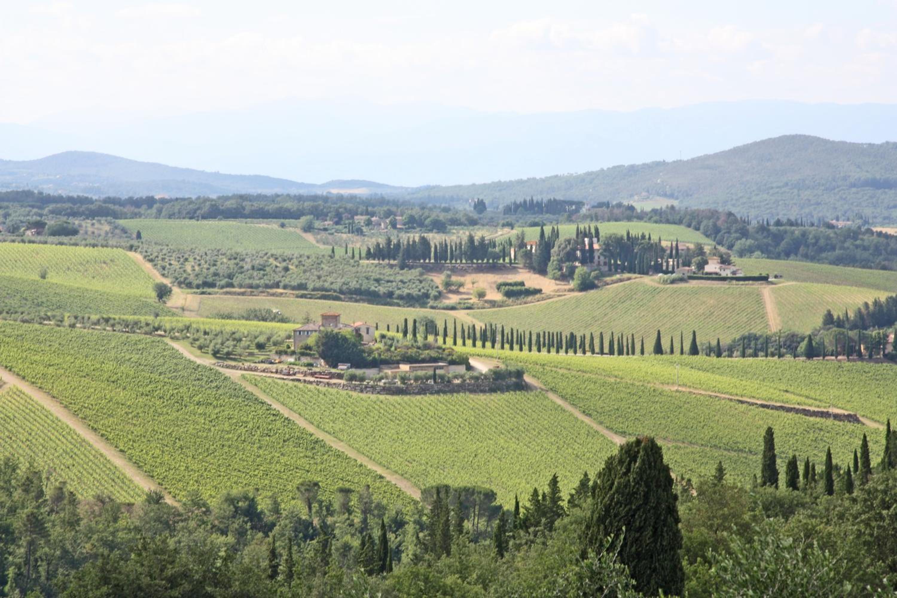 AGRITURISMO VICOLABATE