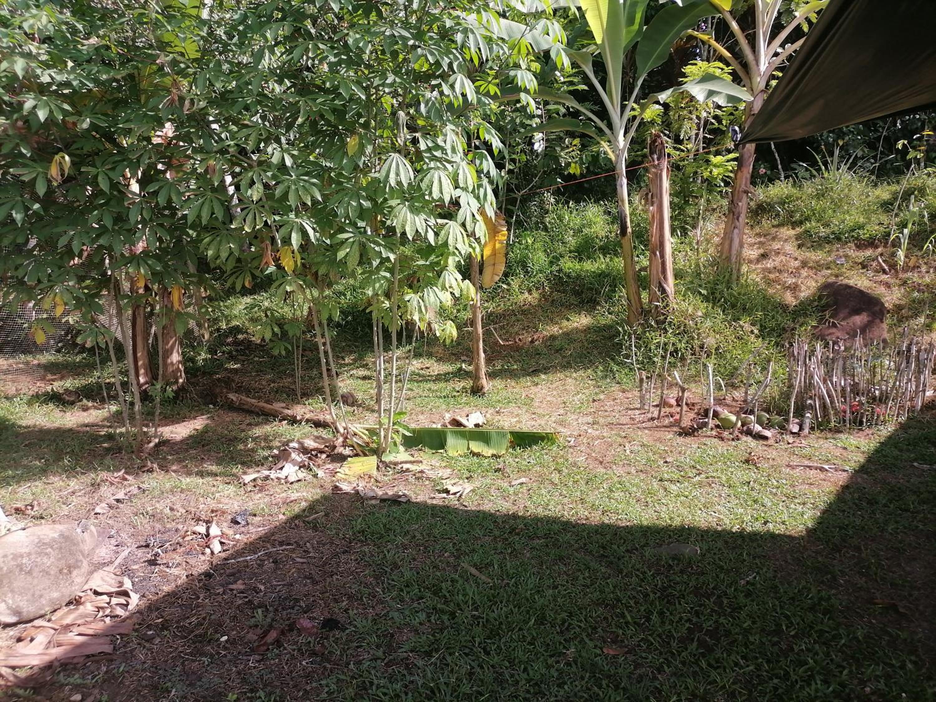 Bribri ù sule
