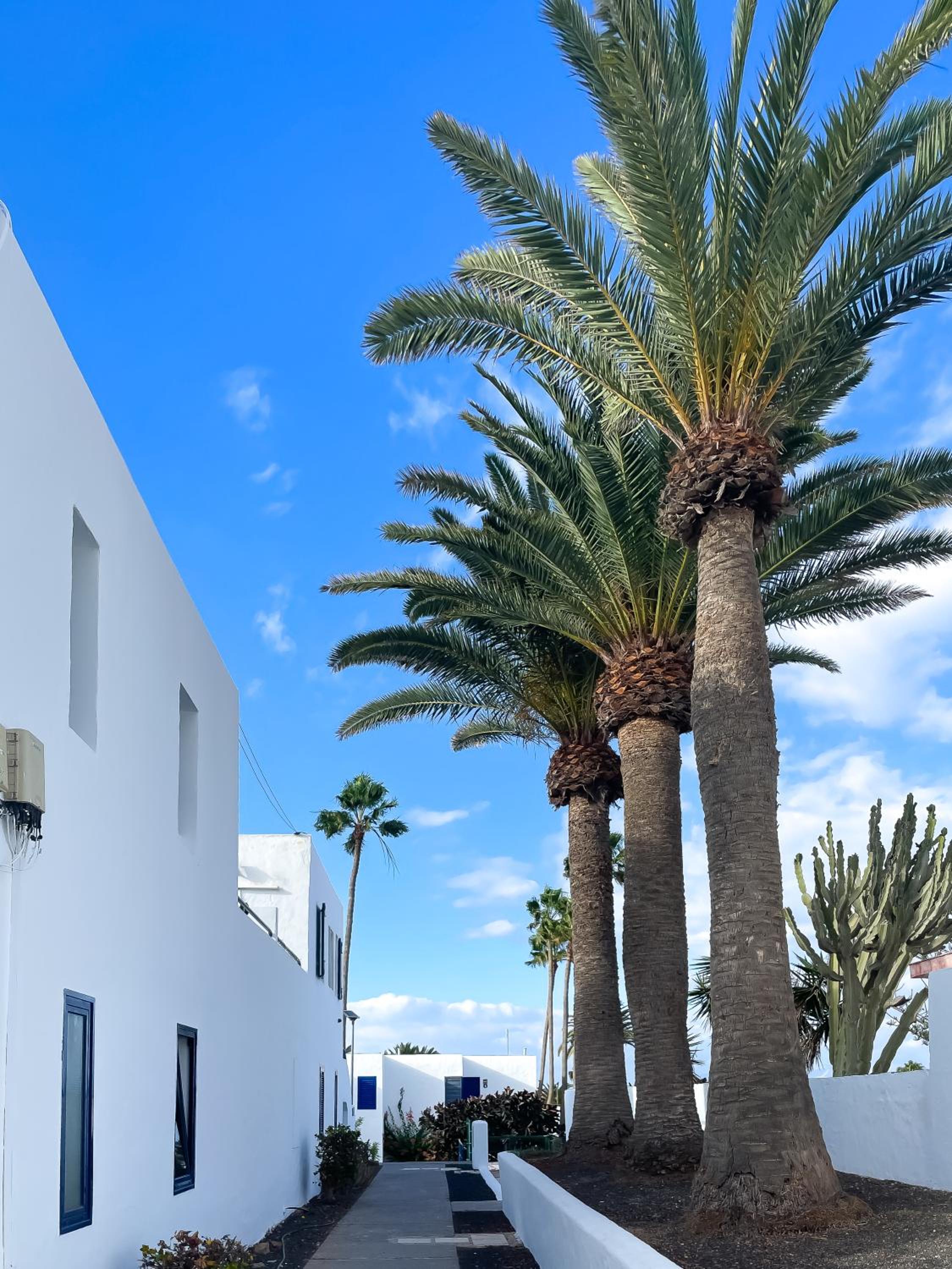 Barqueros Beach by Best Holidays Fuerteventura