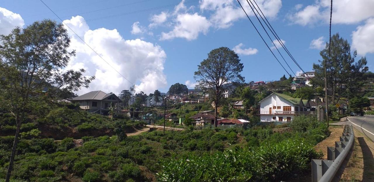 T Bungalow
