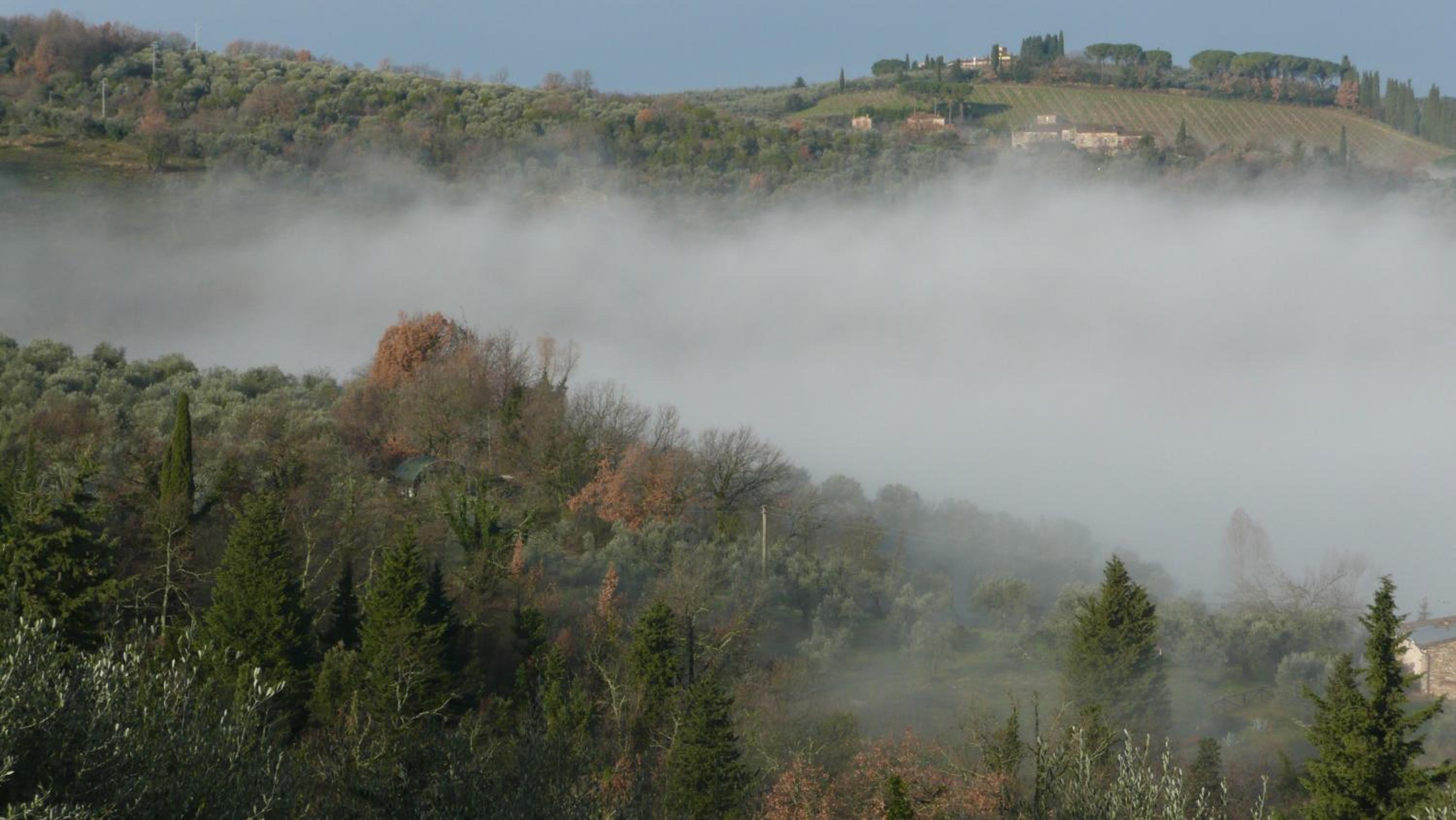 AGRITURISMO VICOLABATE