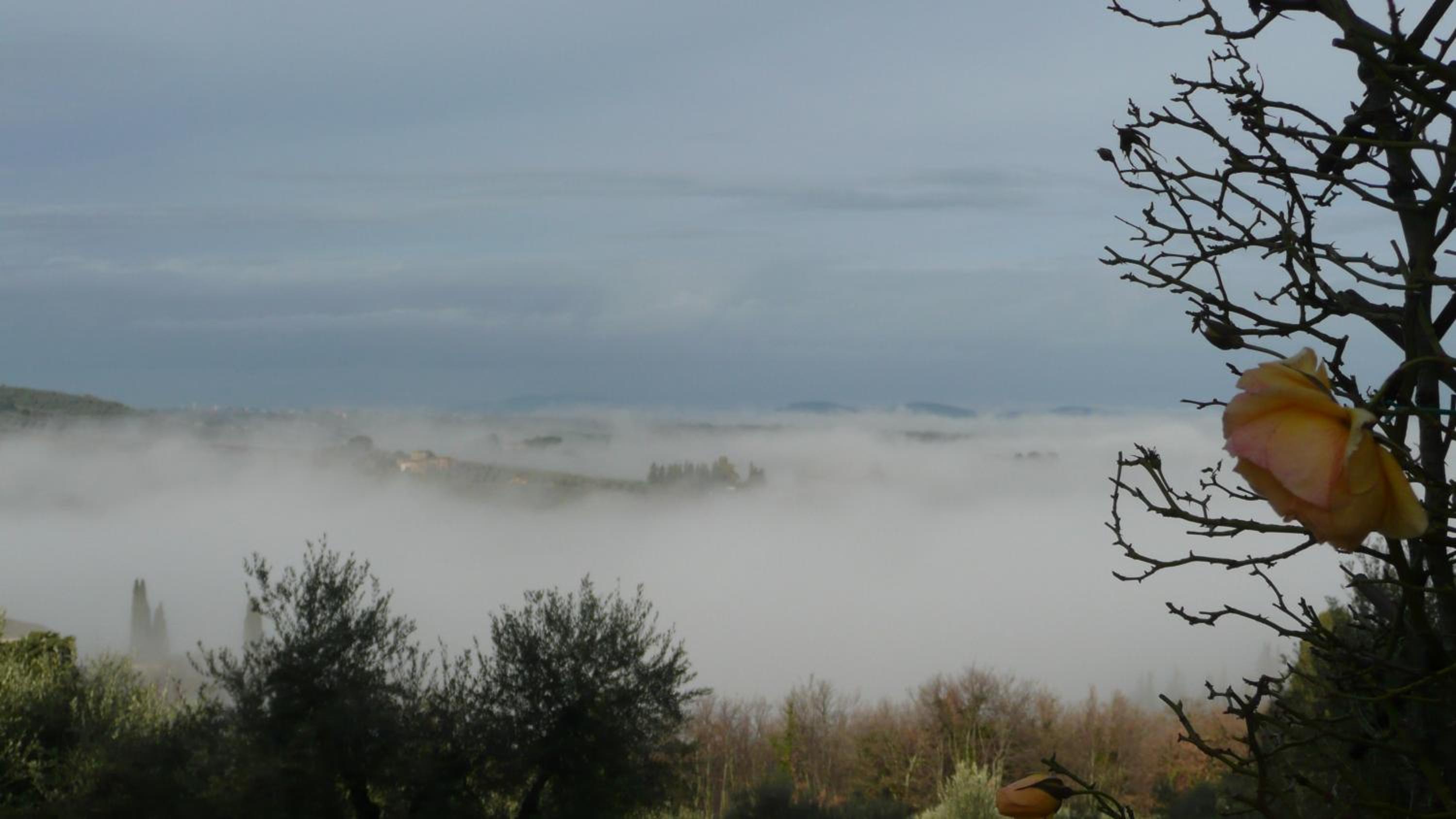 AGRITURISMO VICOLABATE