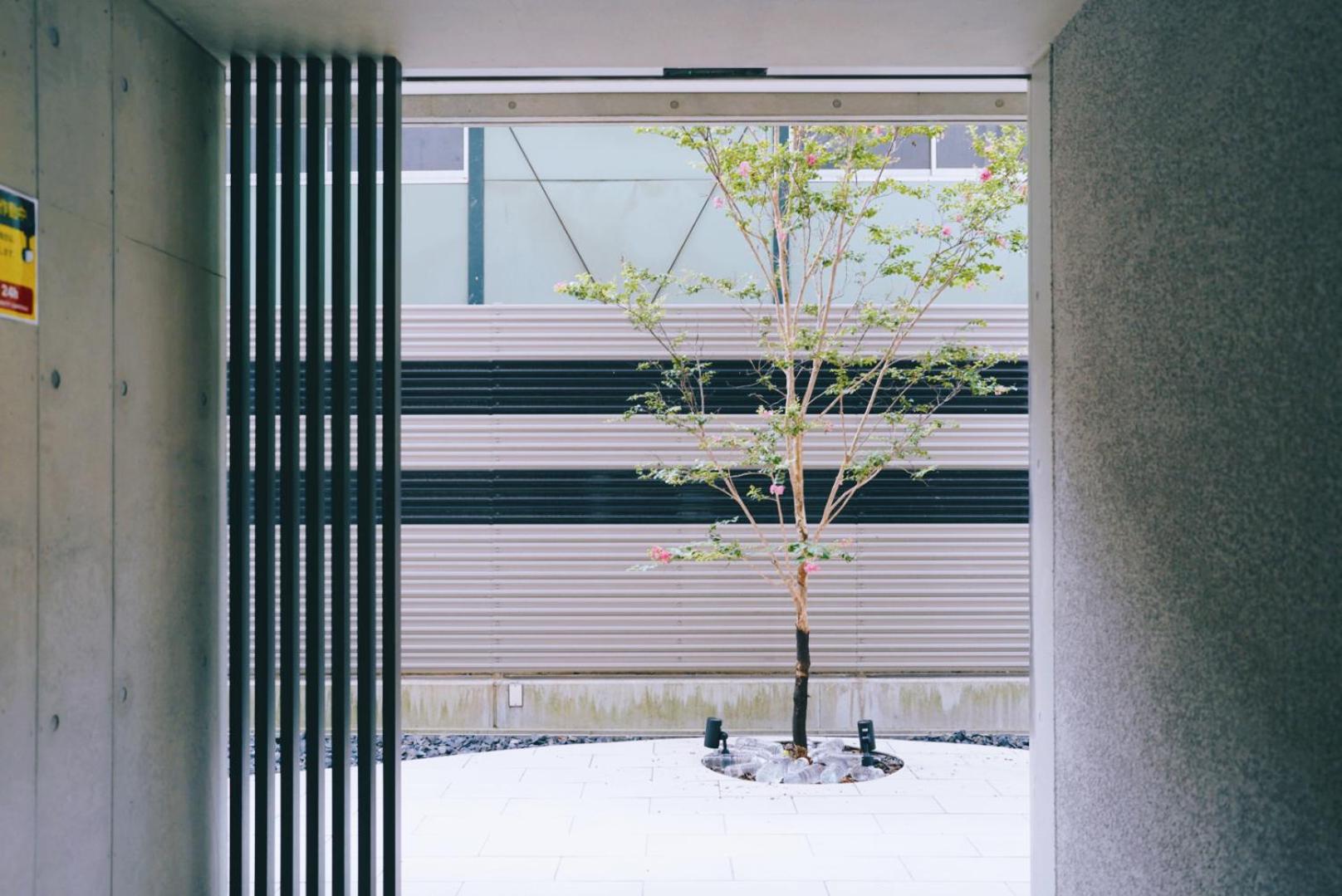 REST COLLECTION Kujo Osaka