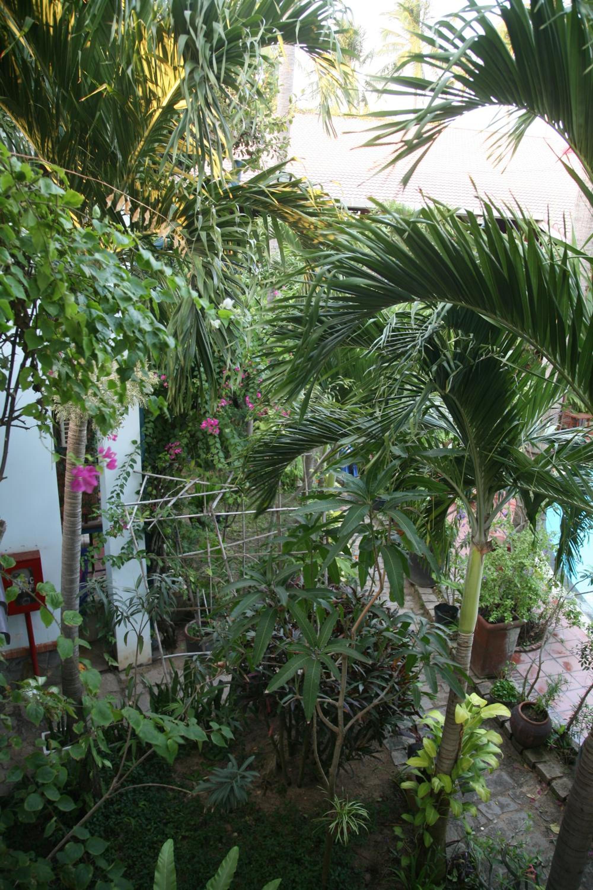 Mui Ne Resort