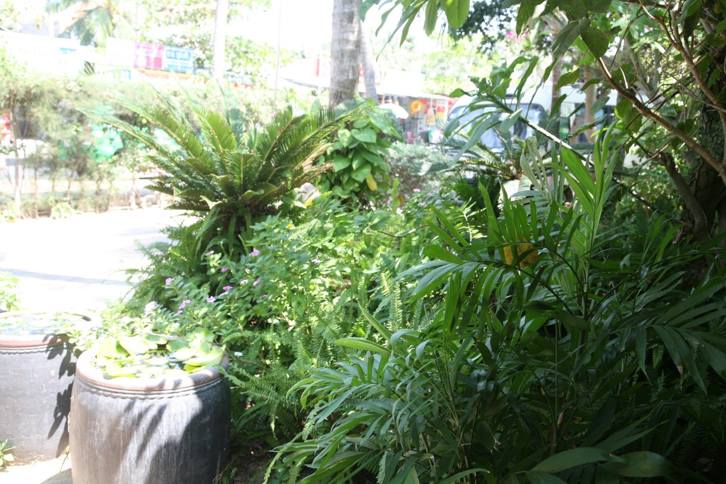 Mui Ne Resort