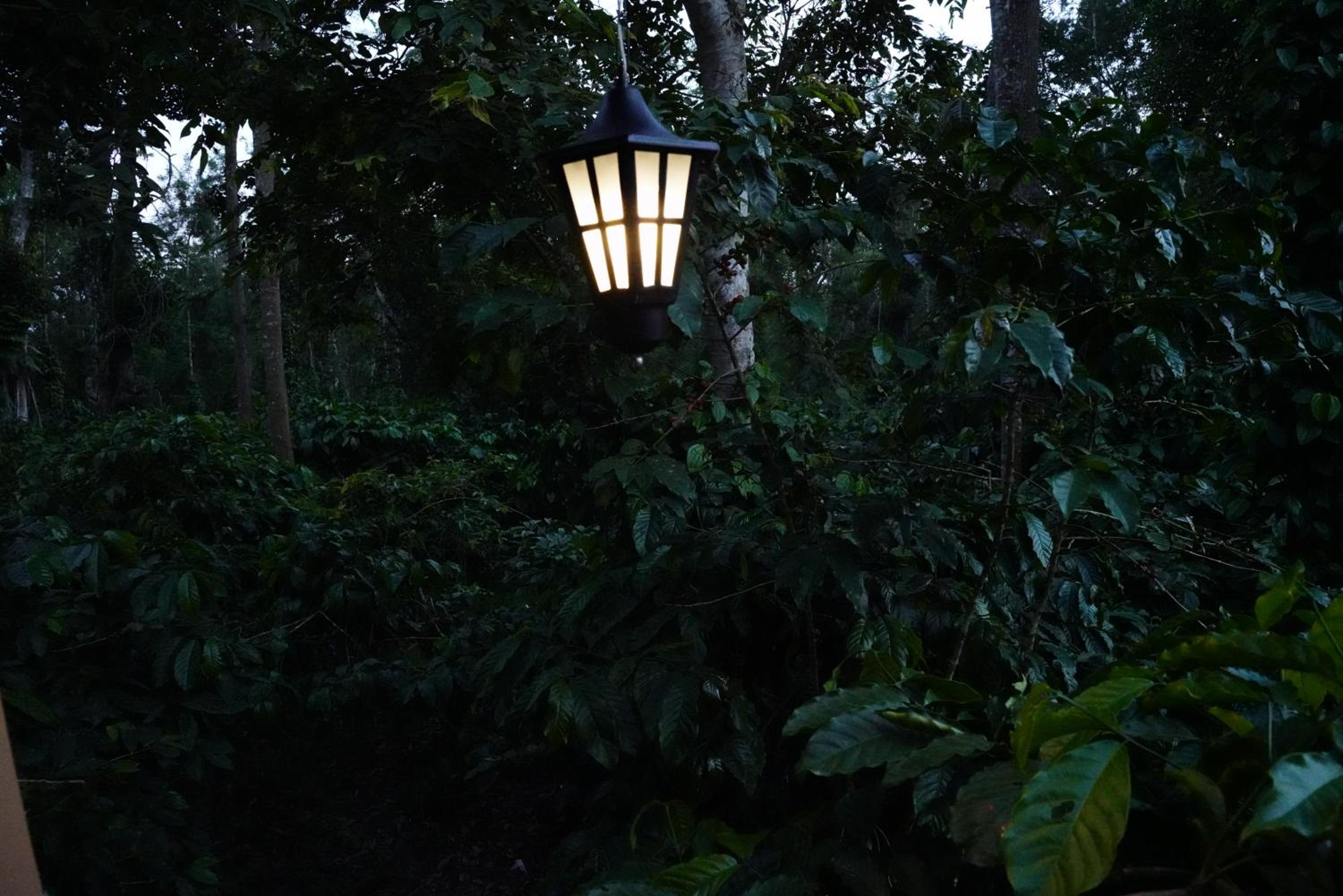 RICHBERRY- A Premium Plantation Villa's