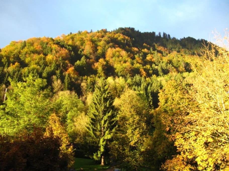 Allgäutraum ! Dein Berg- und Alpsee Urlaub in top Lage - 70qm - 3 Zimmer