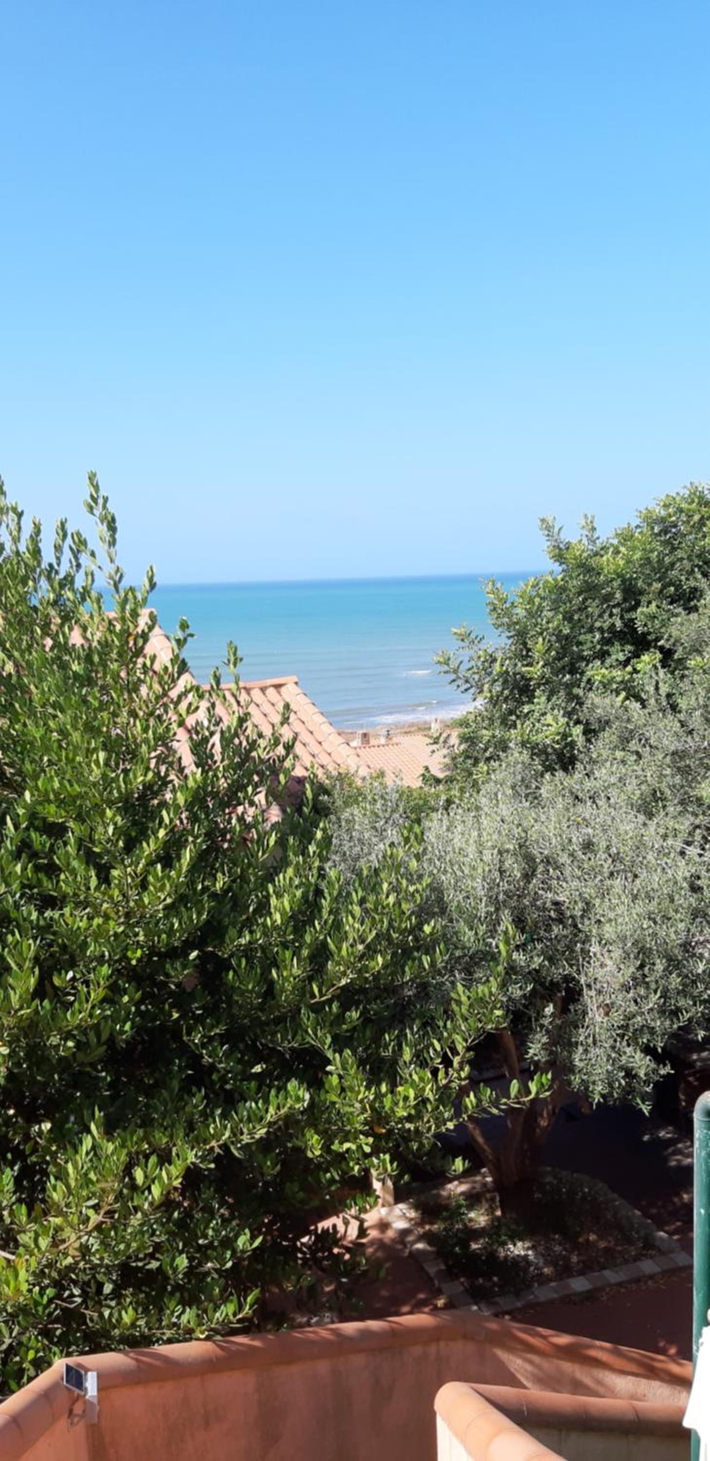 Il Verde Ulivo
