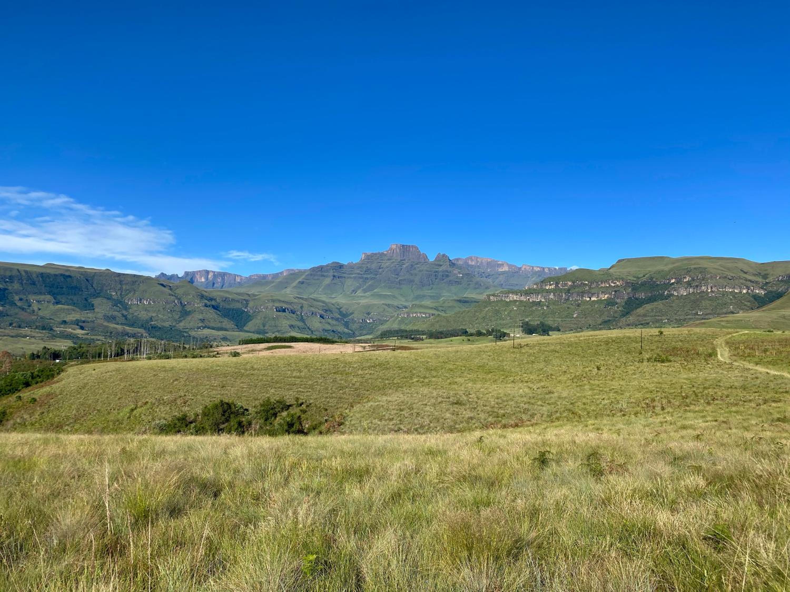 Berg Escape Kiepersol - Spacious Luxury Family Home view 3