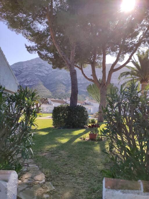 Casa Teo: between sea & mountains view 4