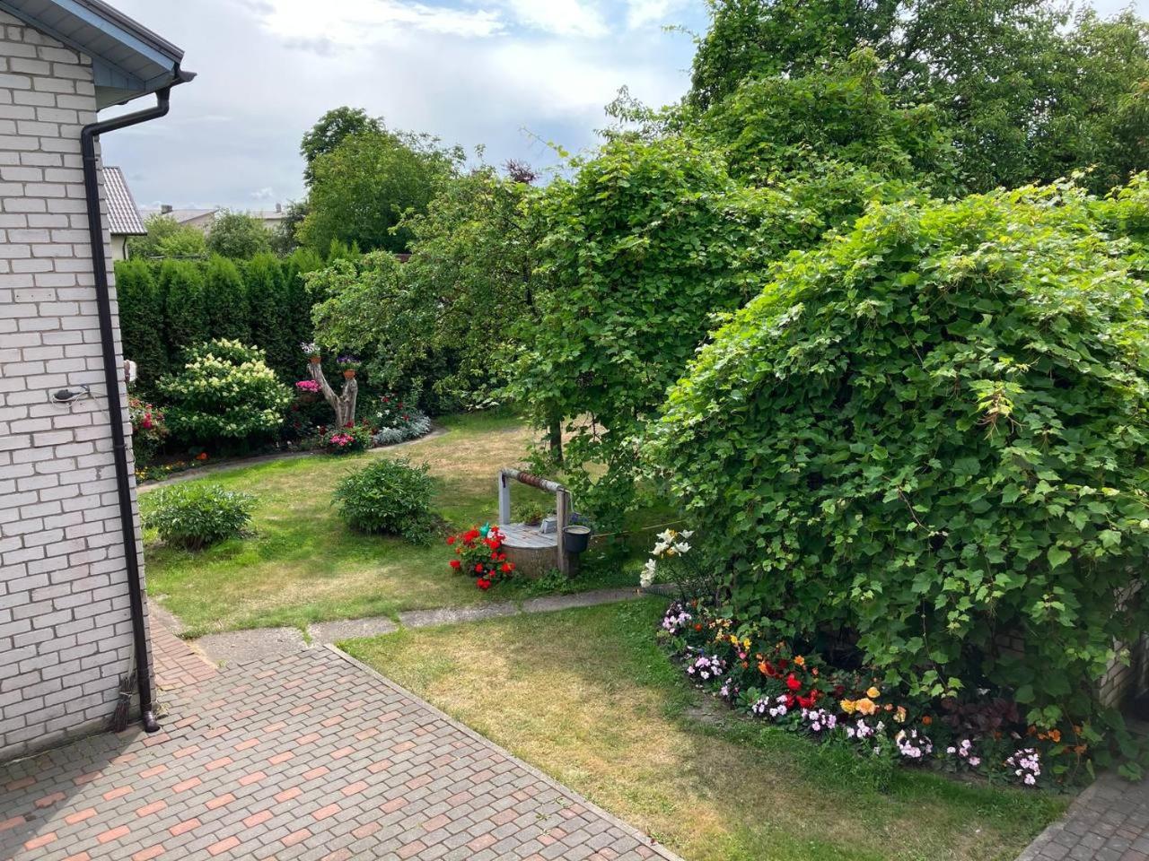 Photo 17