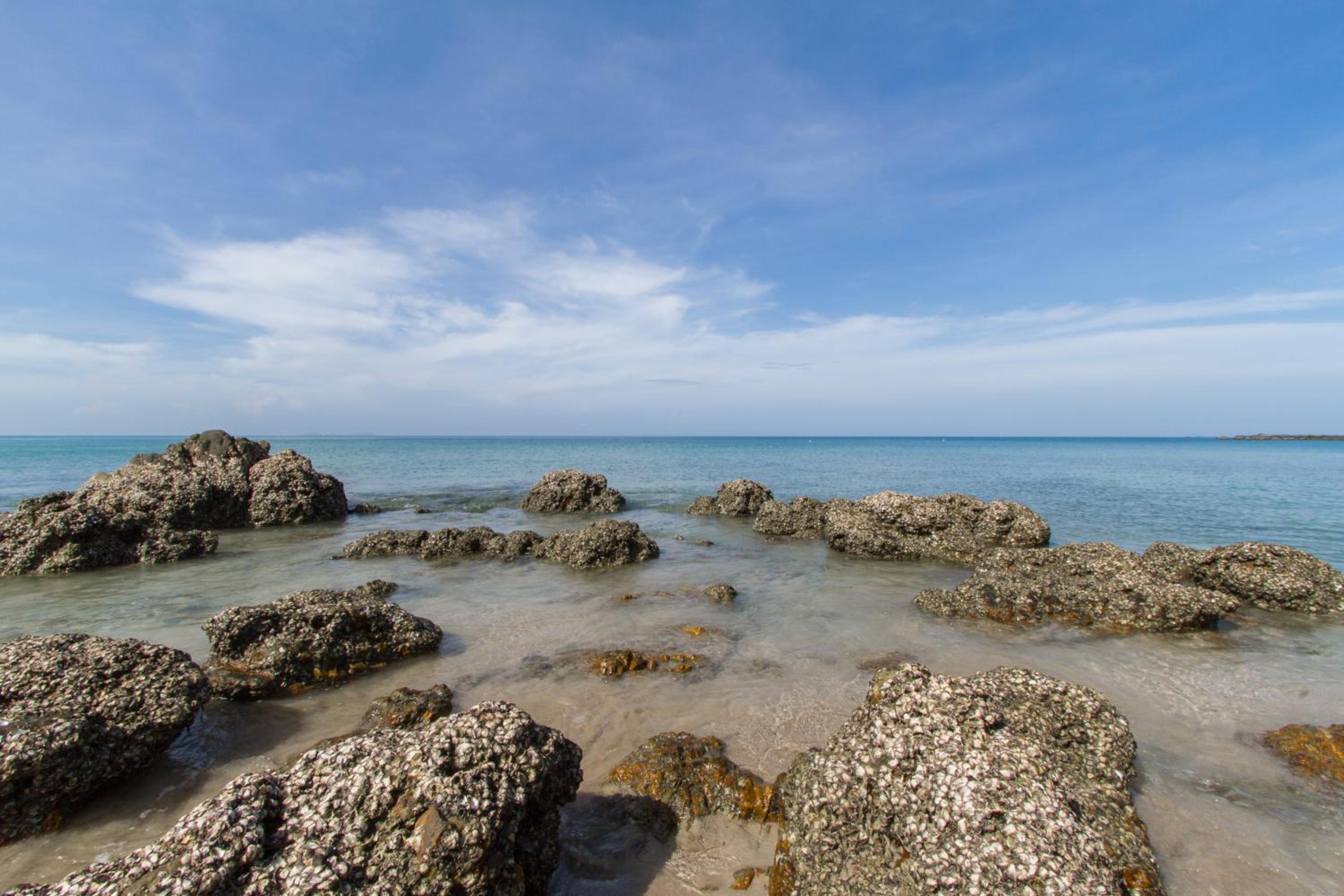 Anda Lanta Resort 31